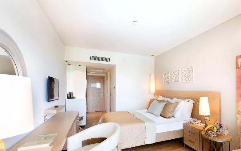 Economy Standard Room without Balcony in TUI Blue Barut Andız - All Inclusive - Adults Only