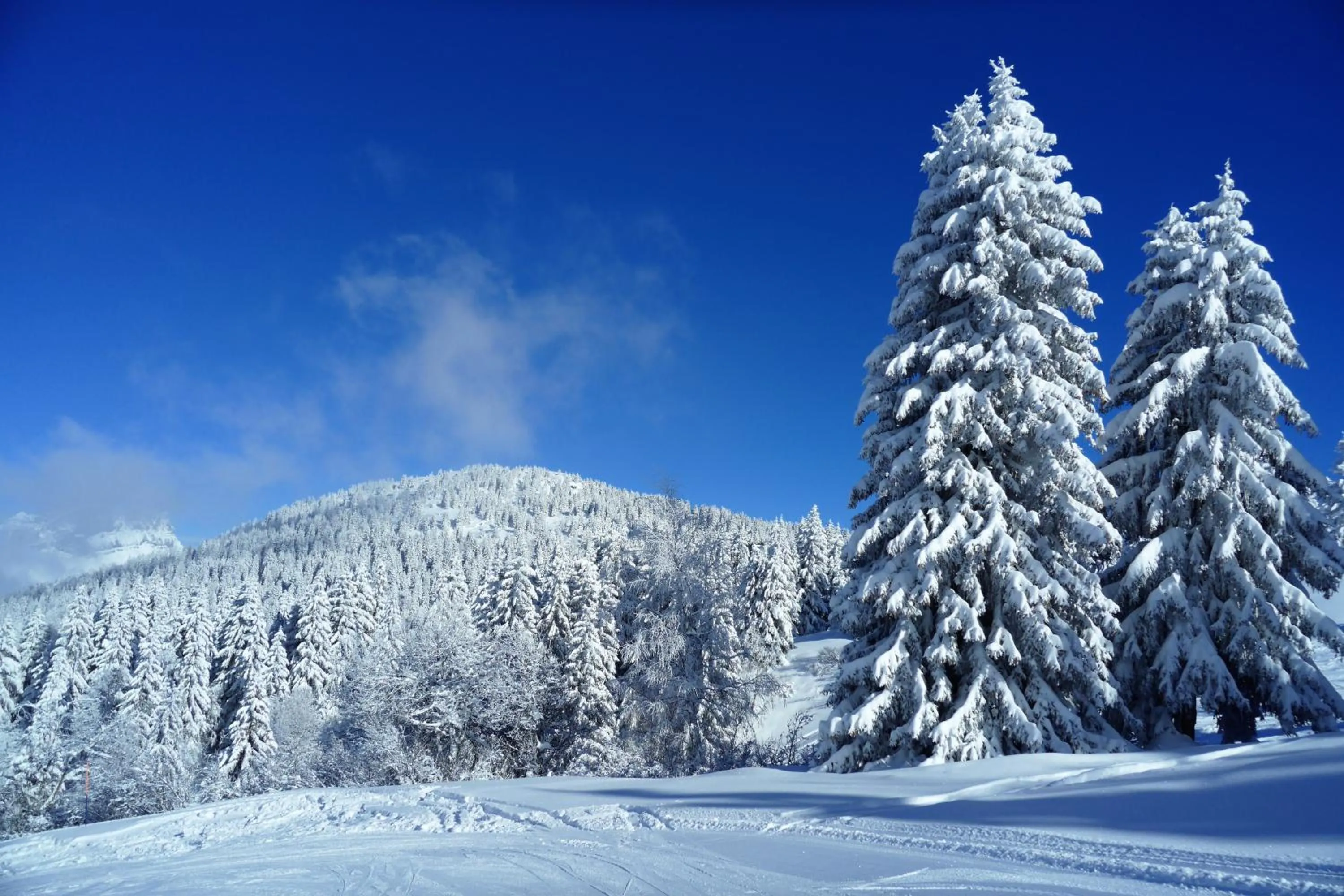 Skiing in Chalet Hôtel du Bois