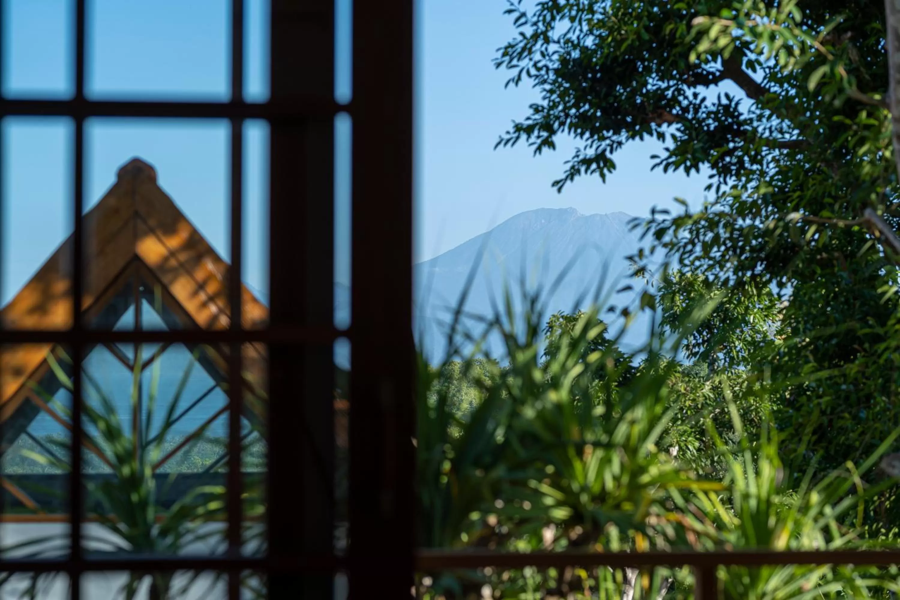 Mountain view in Deep Roots Dive & Yoga Resort