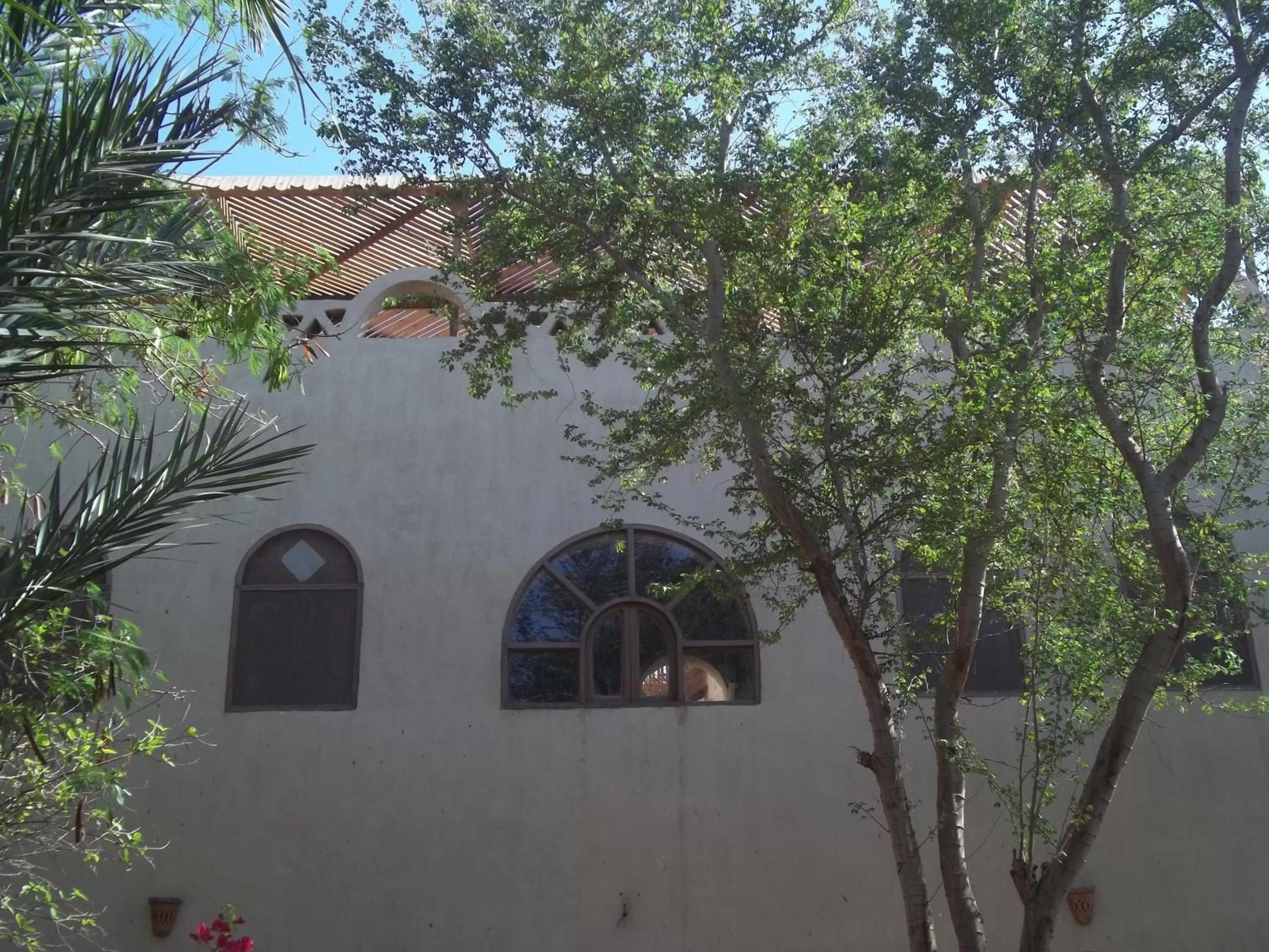 Facade/entrance in Nour El Balad