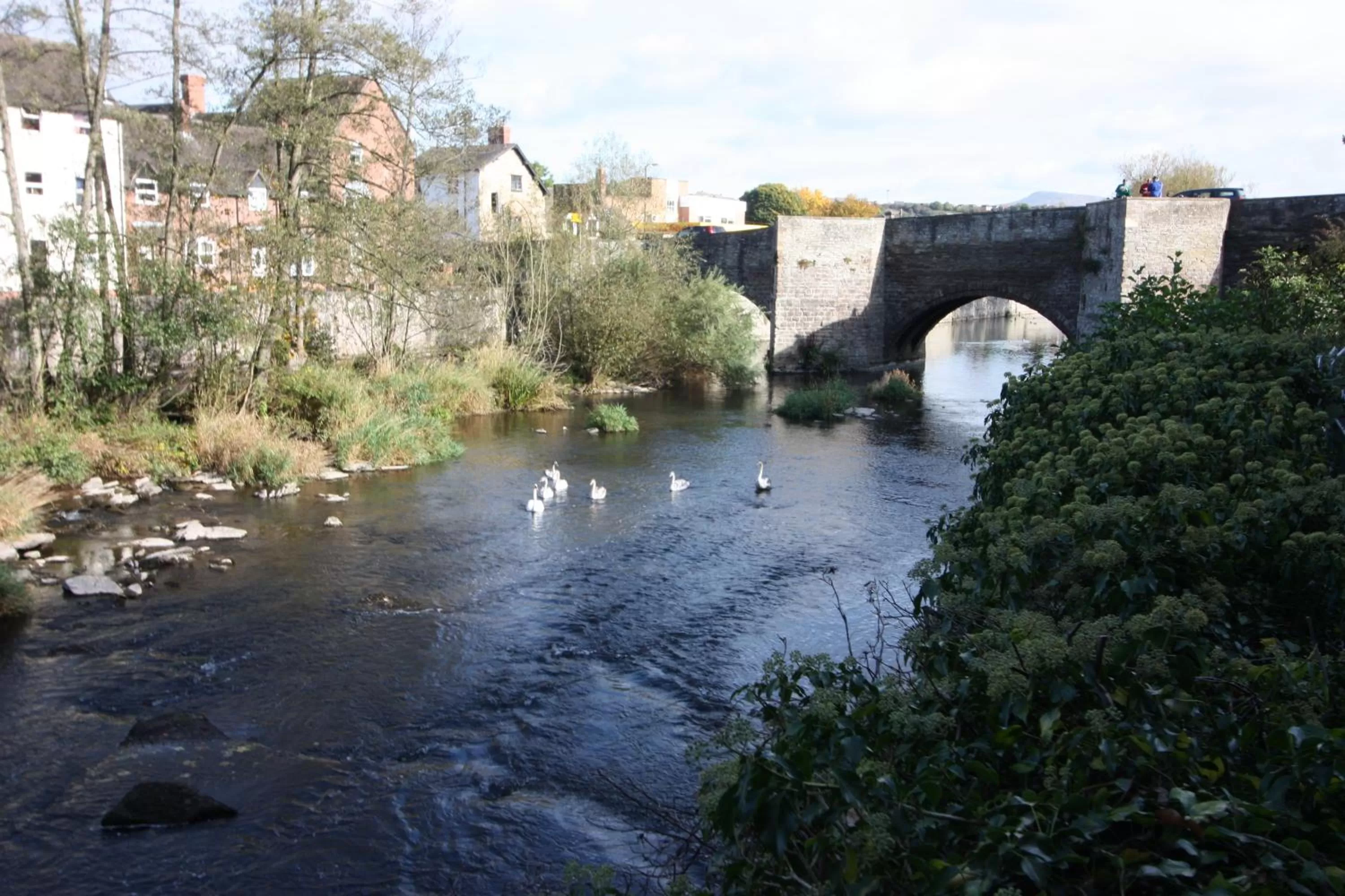 River view in The Charlton Arms