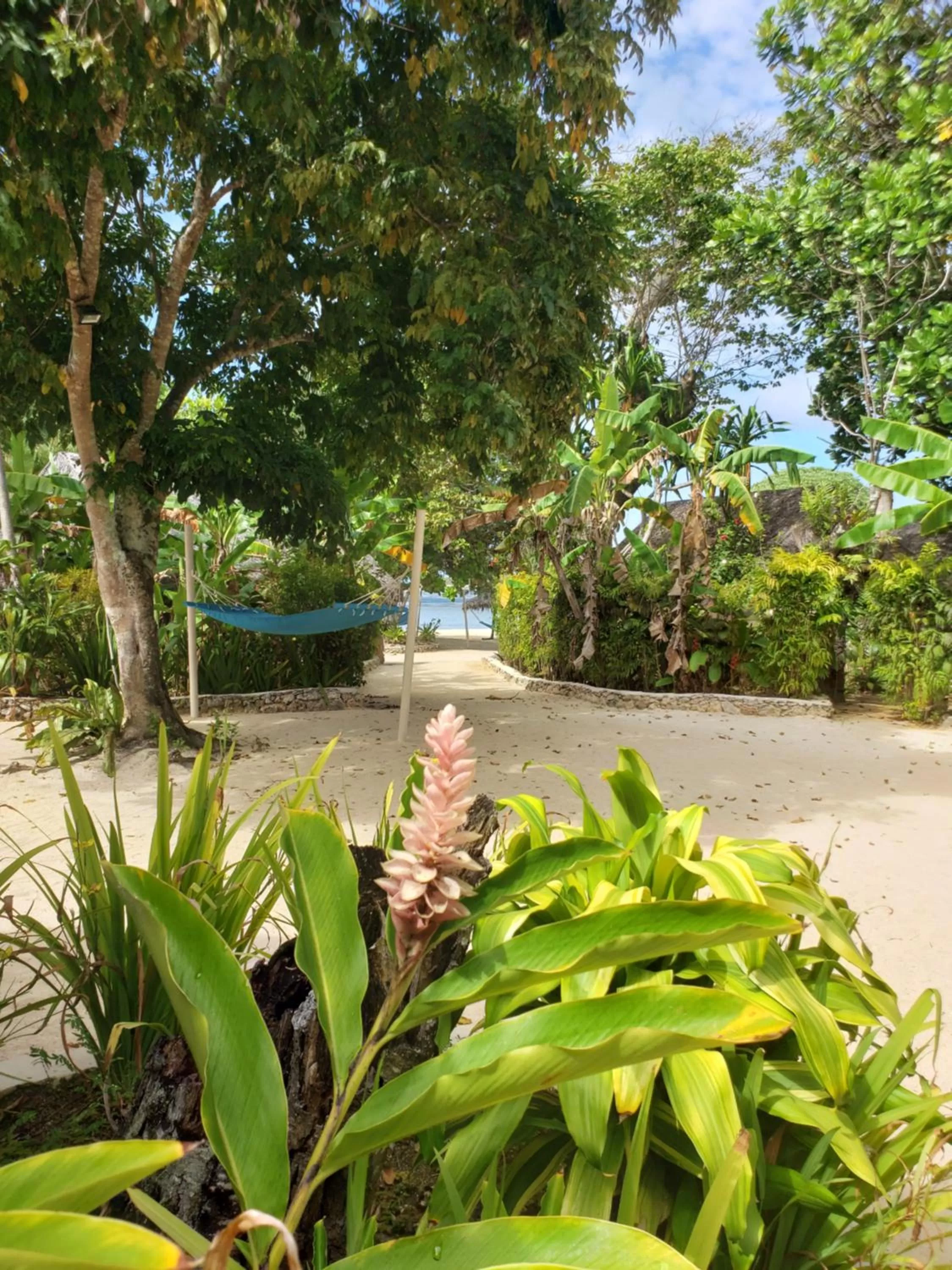 Garden in Breakas Beach Resort