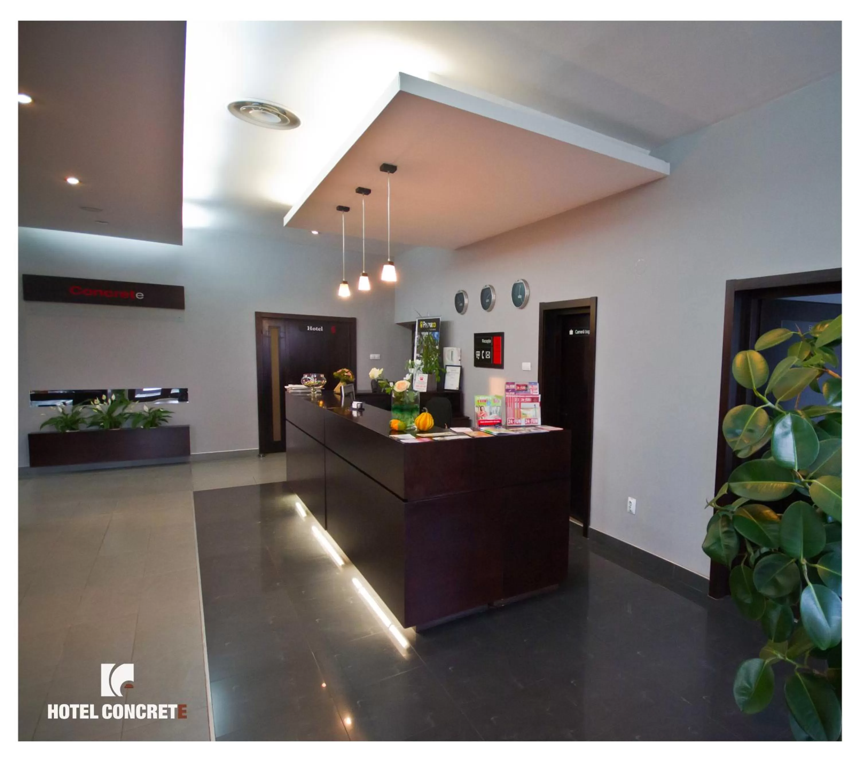 Lobby or reception, Lobby/Reception in Hotel Concrete