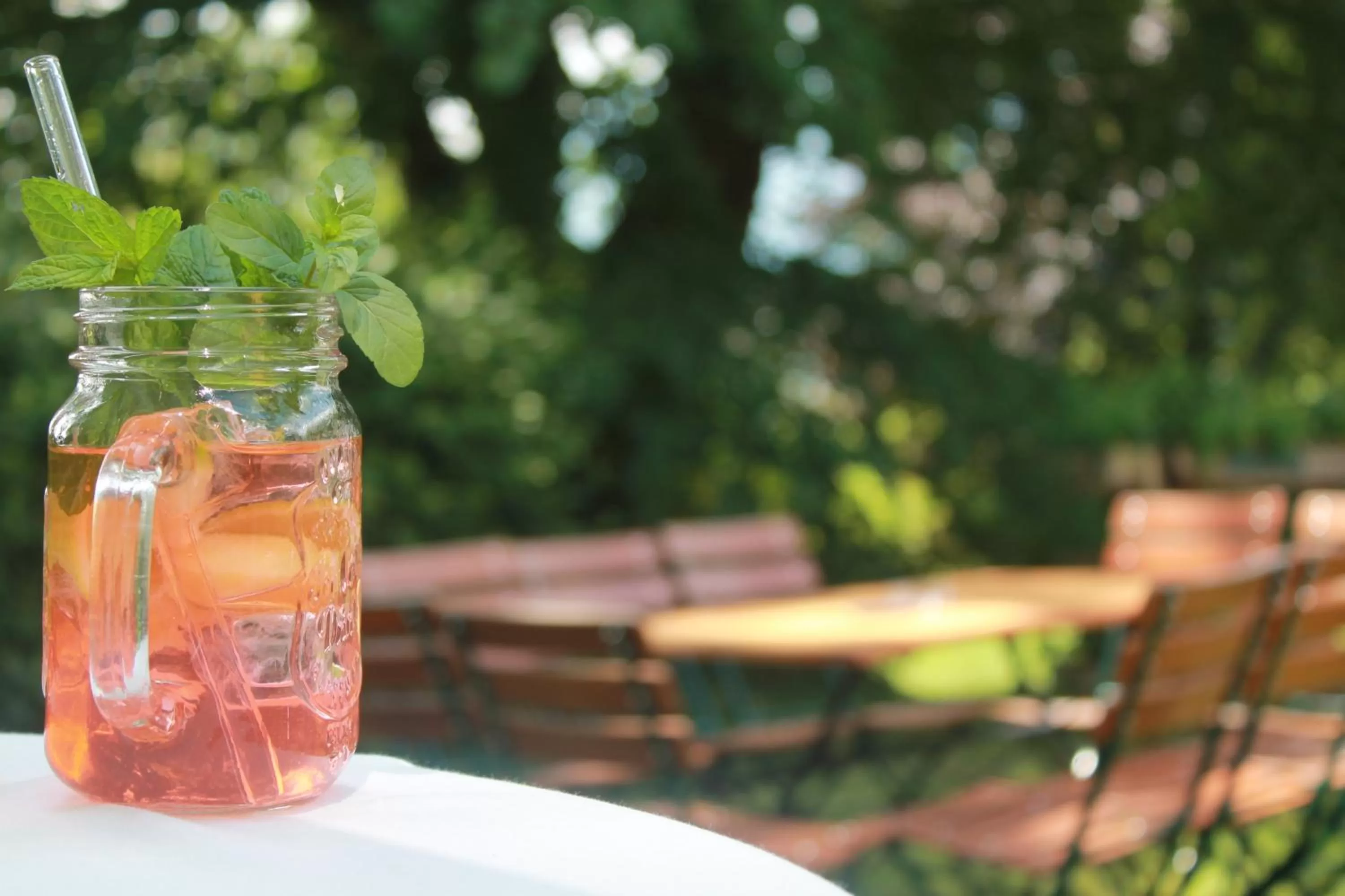 Garden in Hotel St. Virgil Salzburg