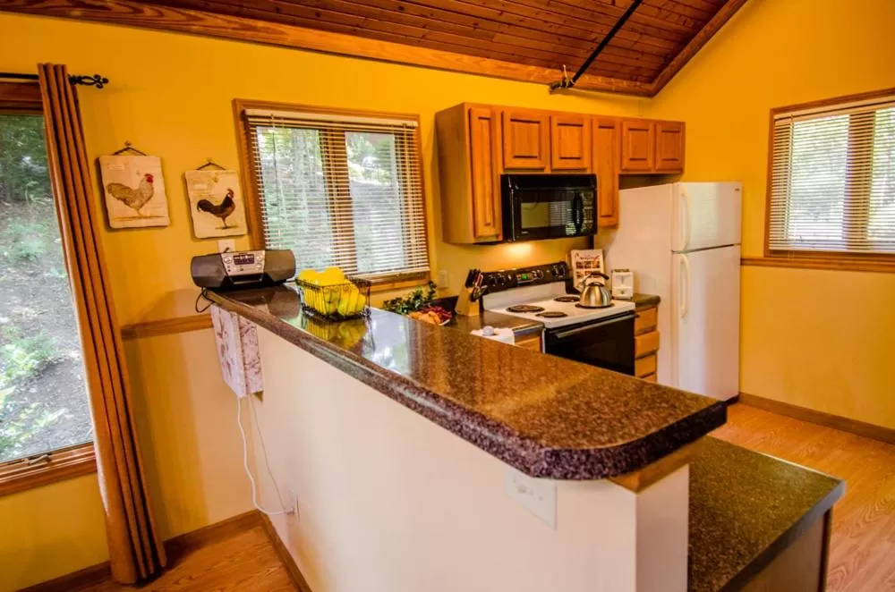 Kitchen or kitchenette in Asheville Cabins of Willow Winds