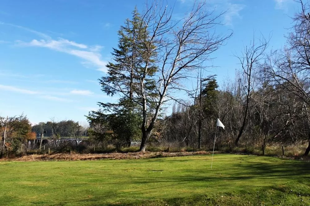 Garden in Hotel Salto Del Laja