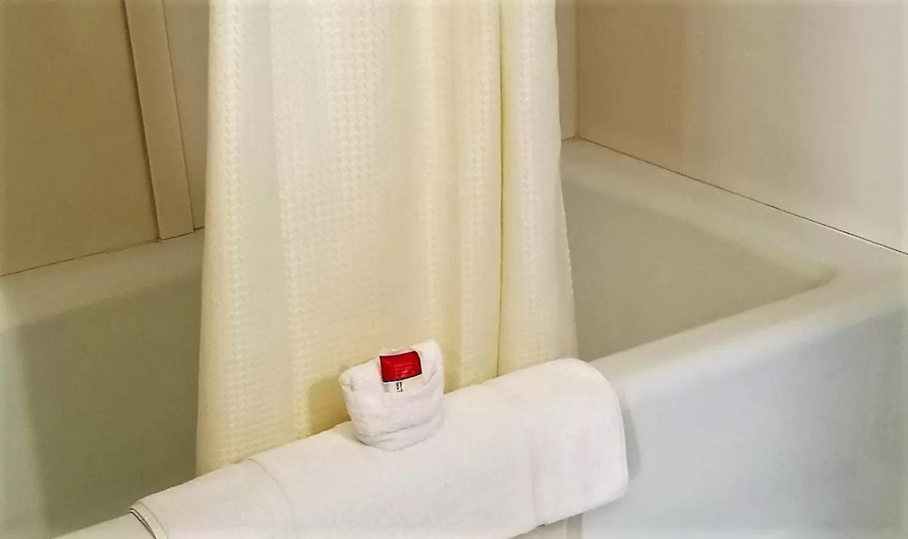 Public Bath, Bathroom in Hill House Inn