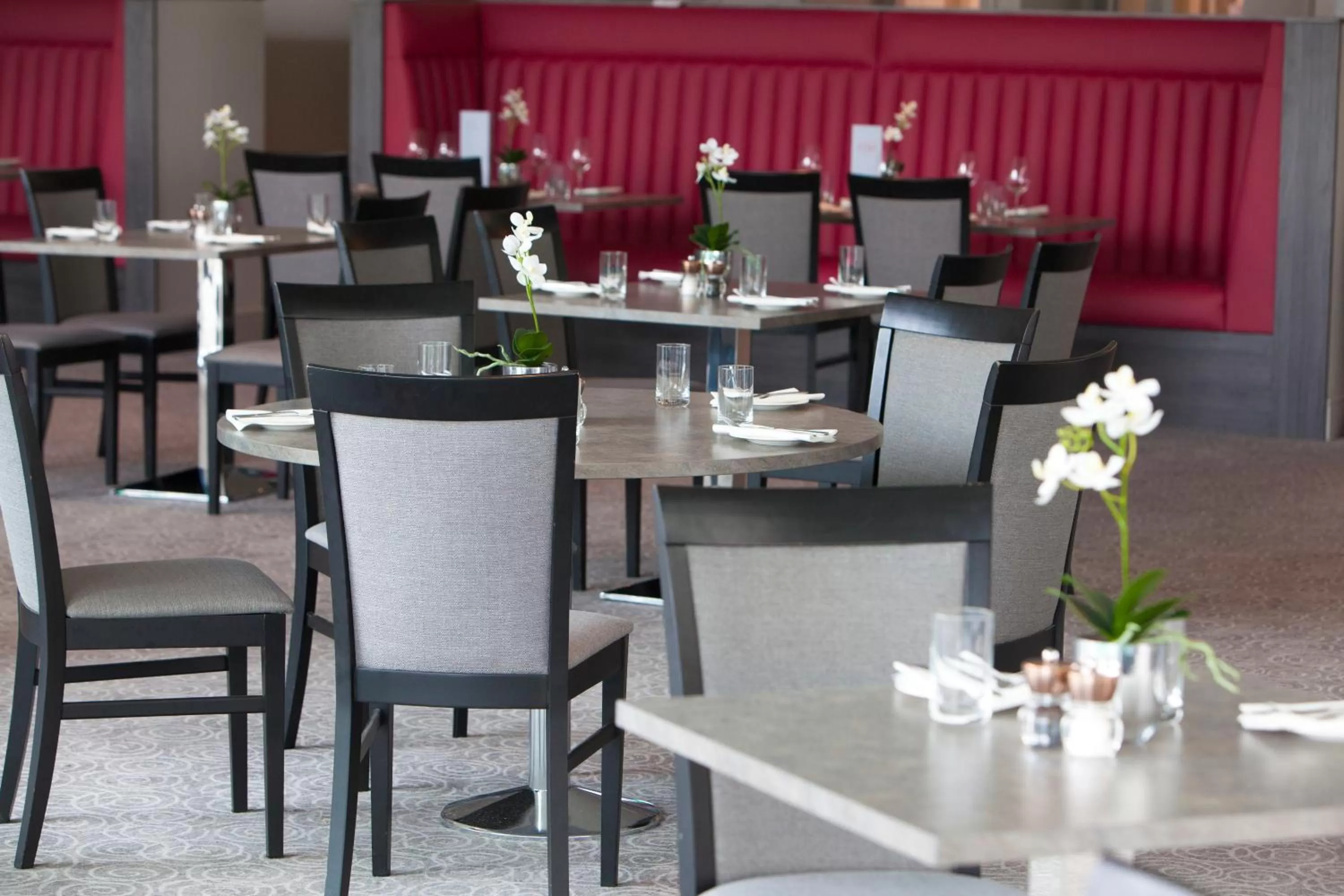 Restaurant/places to eat in Hawkstone Park