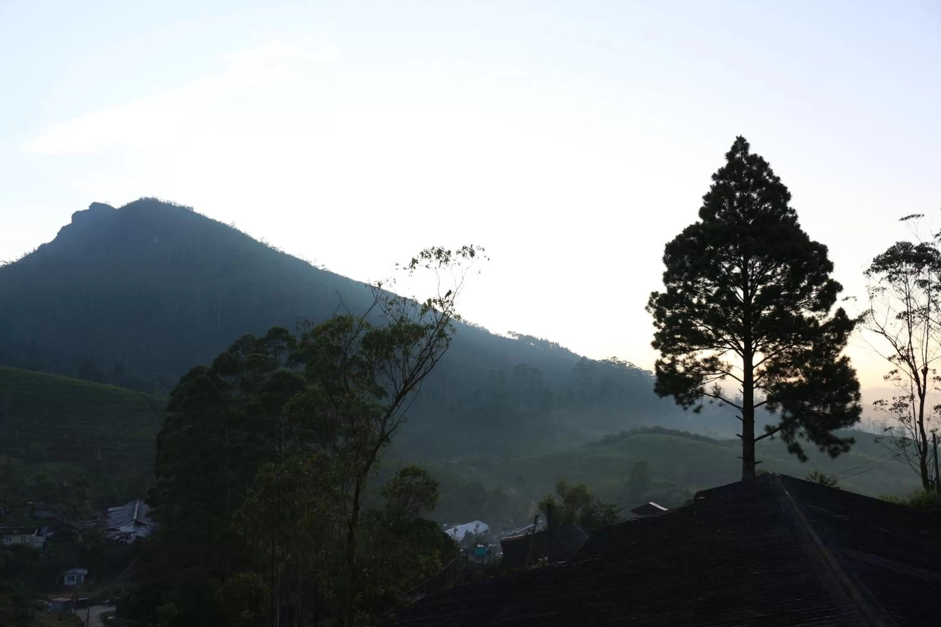Mountain View in Hotel Mount Castle
