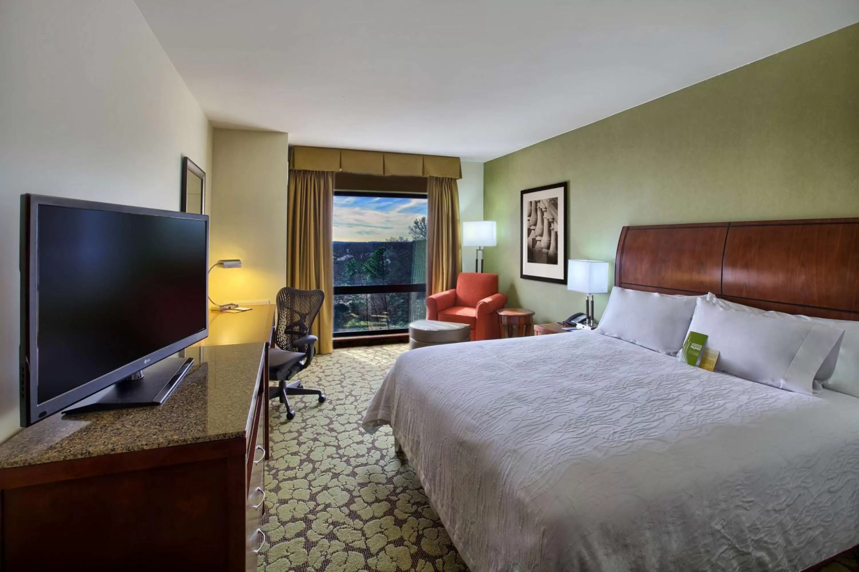 King Room - Disability Access/Bath Tub in Hilton Garden Inn Durham-University Medical Center