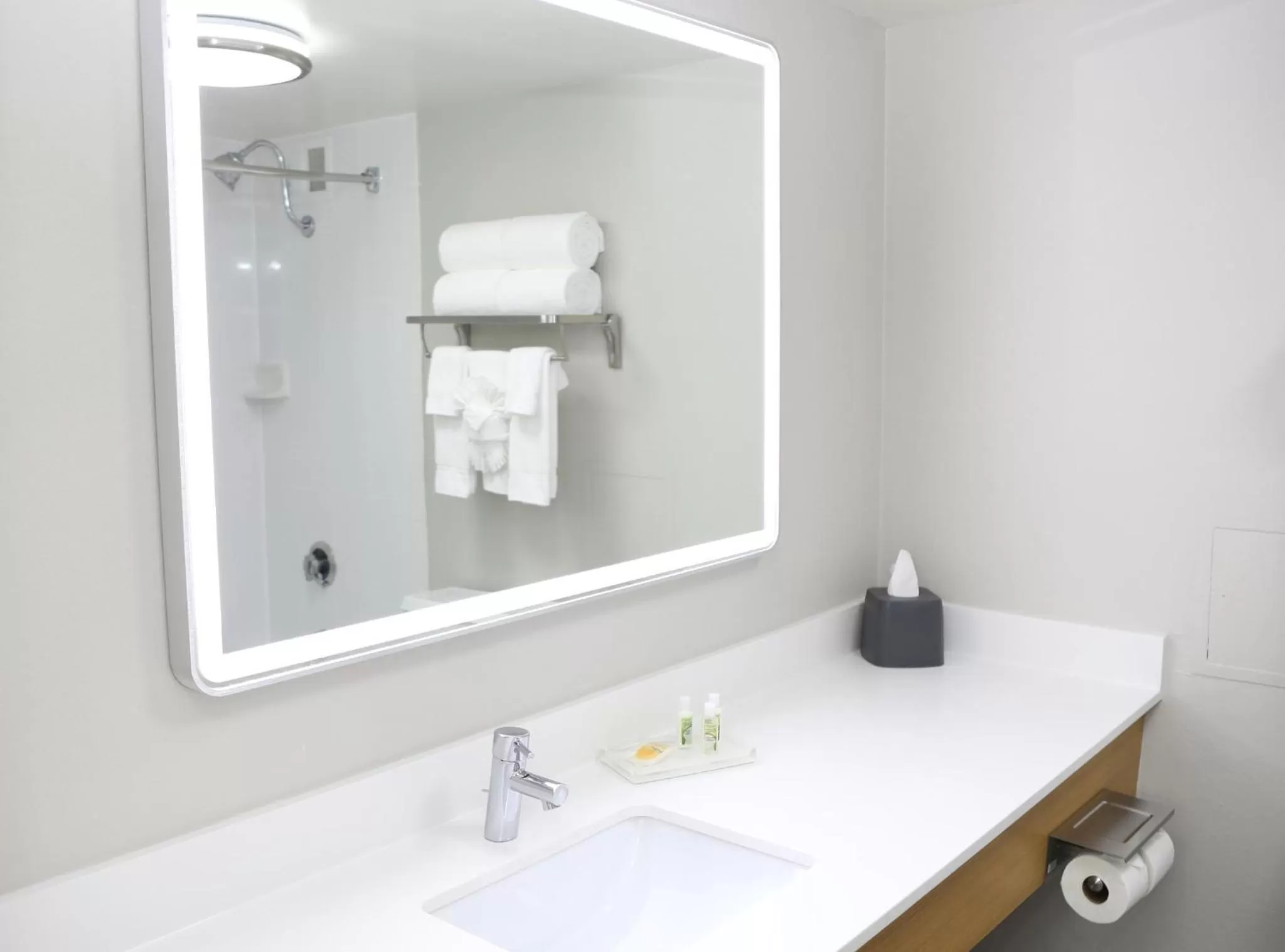 Bathroom in Holiday Inn O'Hare Area by IHG