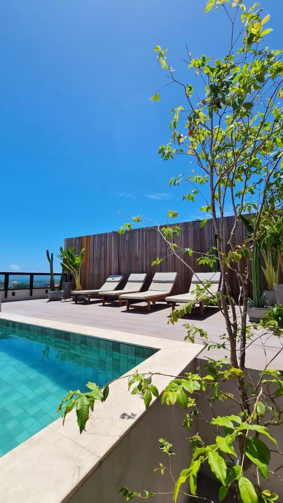 Swimming pool in Carppa Hotel