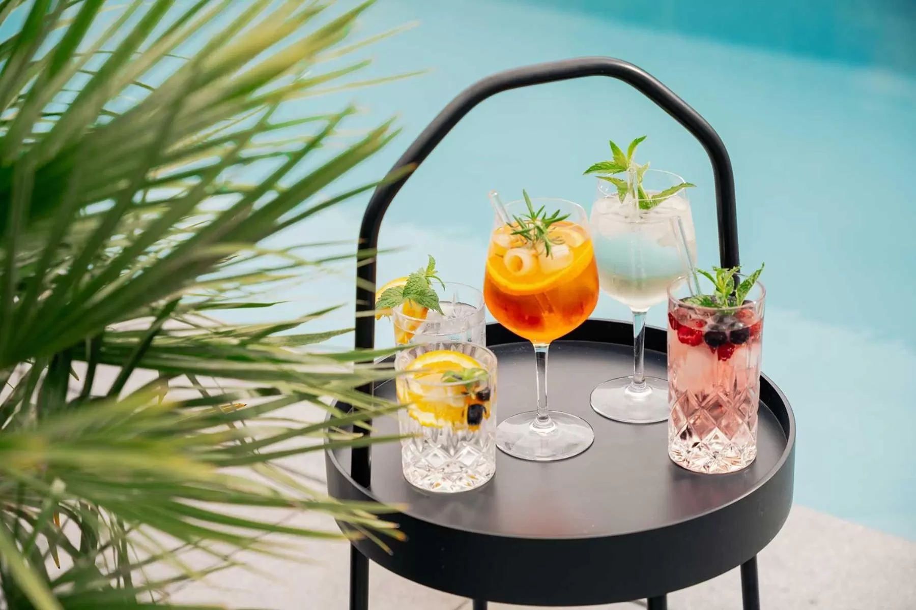 Swimming pool, Drinks in Hotel Park Cafe Reichl