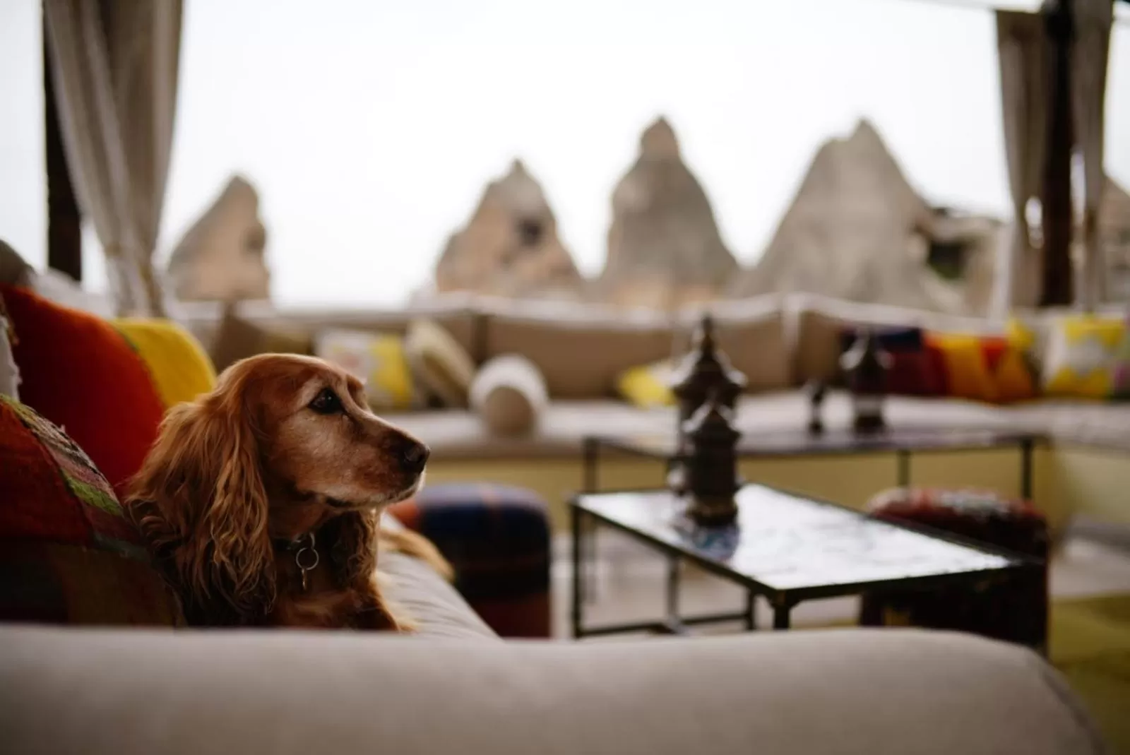 Balcony/Terrace in Artemis Cave Suites & Spa- Adults Only