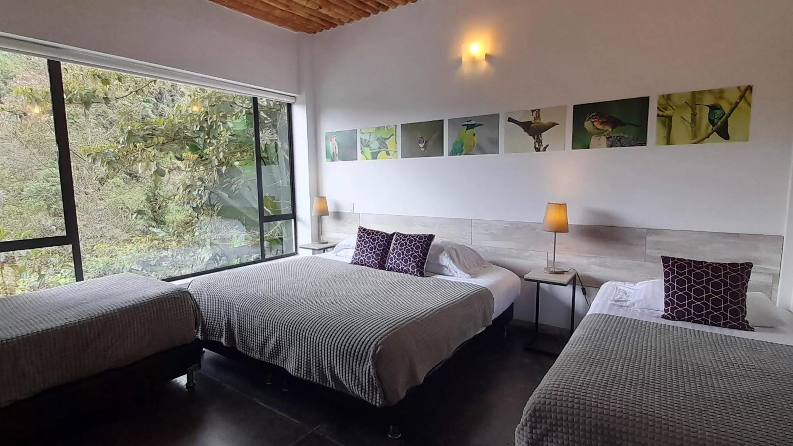 Bed in Hotel Termales Tierra Viva