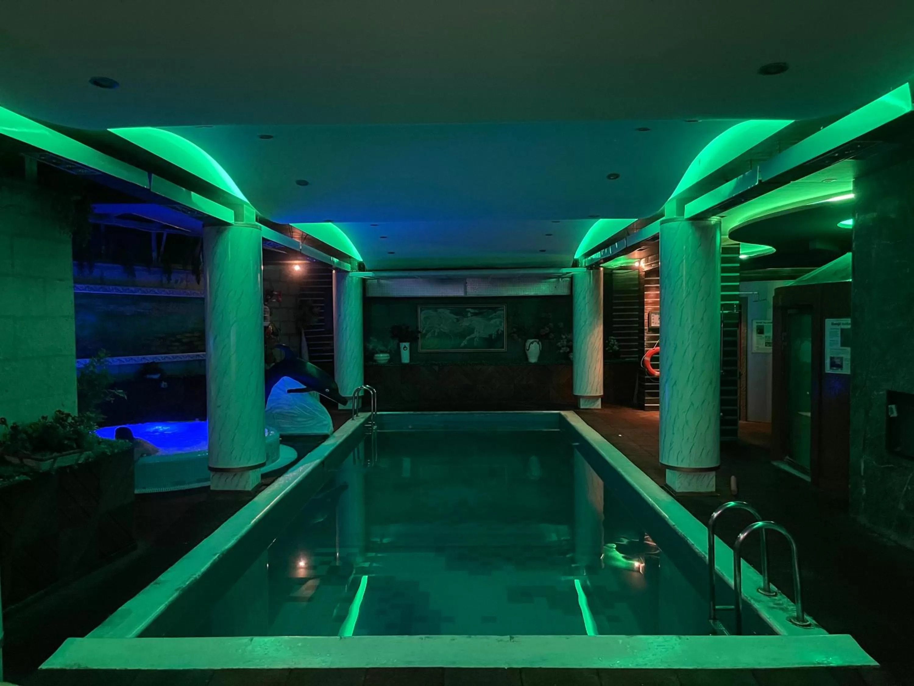 Hot Tub, Swimming Pool in Hotel Rosa Blu