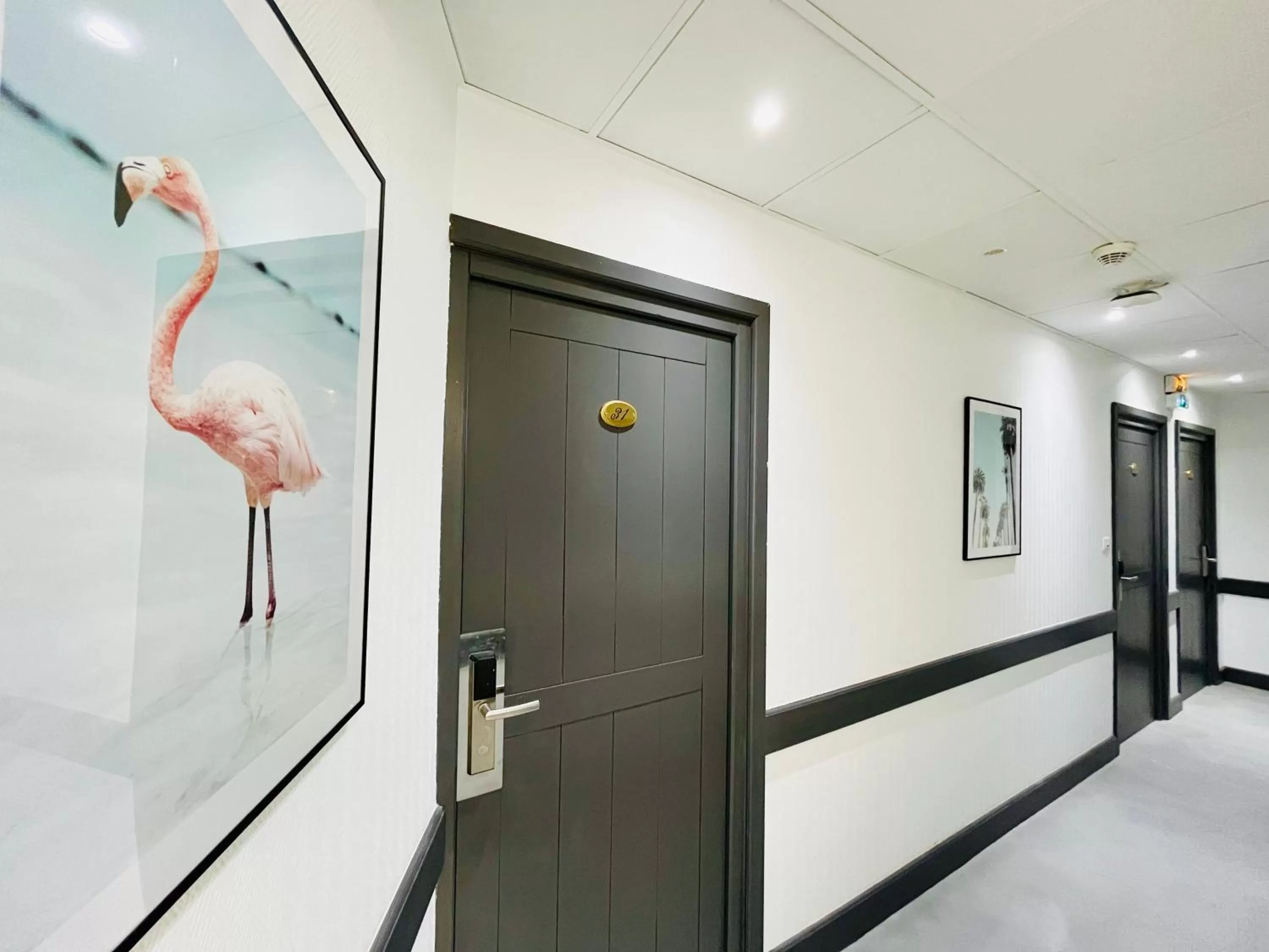 Property building in Les Alizes