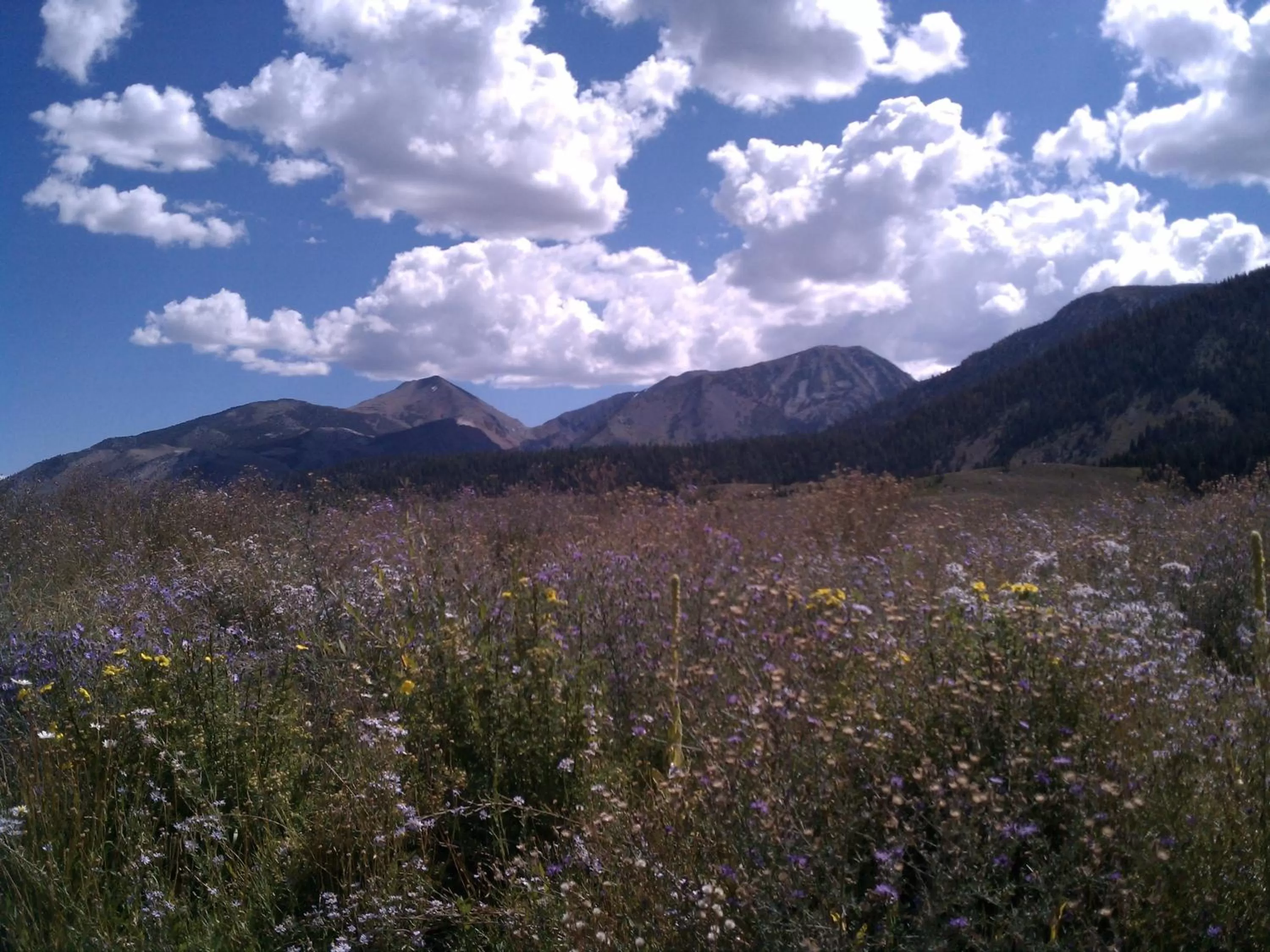View (from property/room) in Snowcreek Resort Vacation Rentals