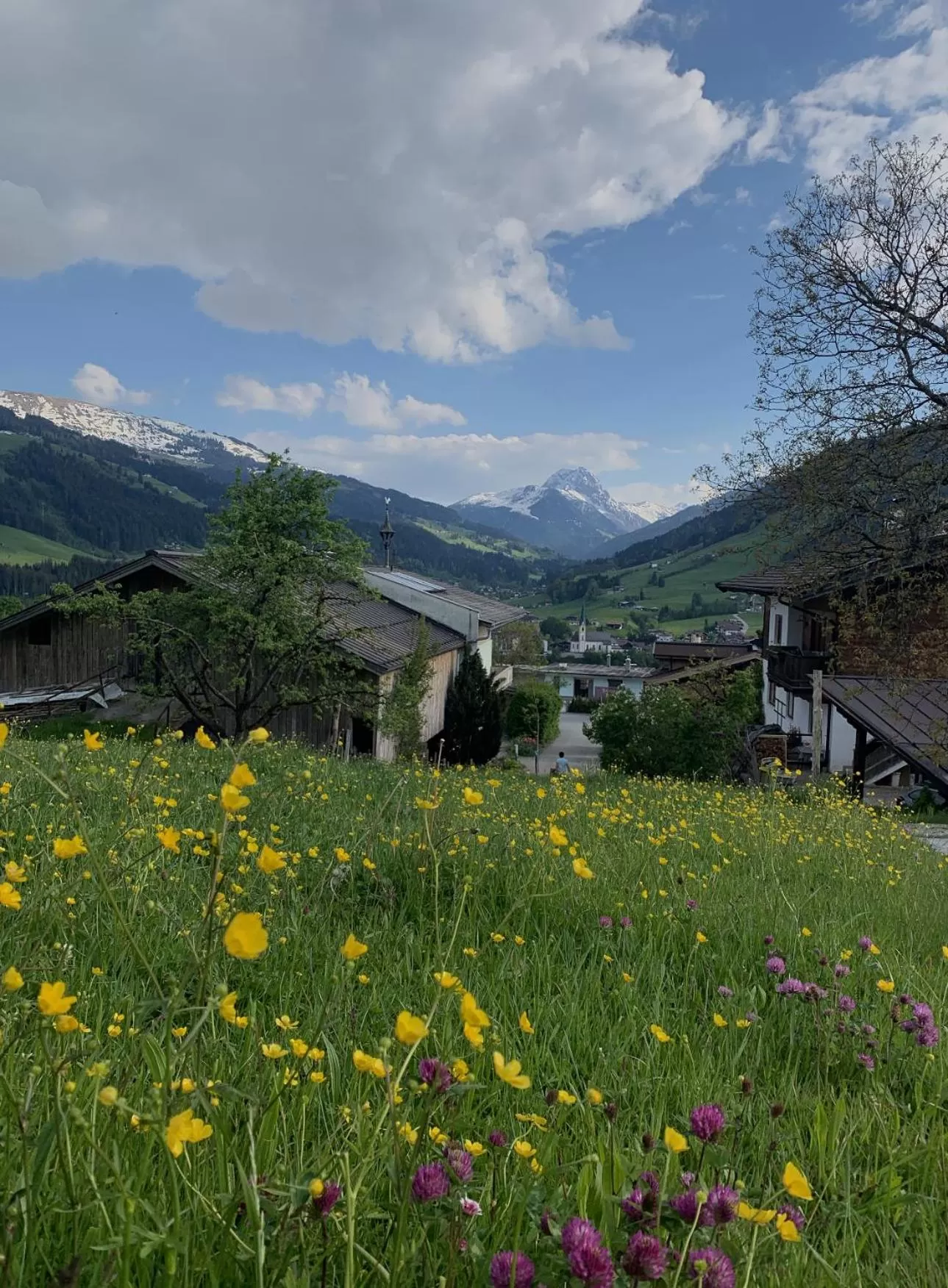 Garden in Hotel Garni Wieshof