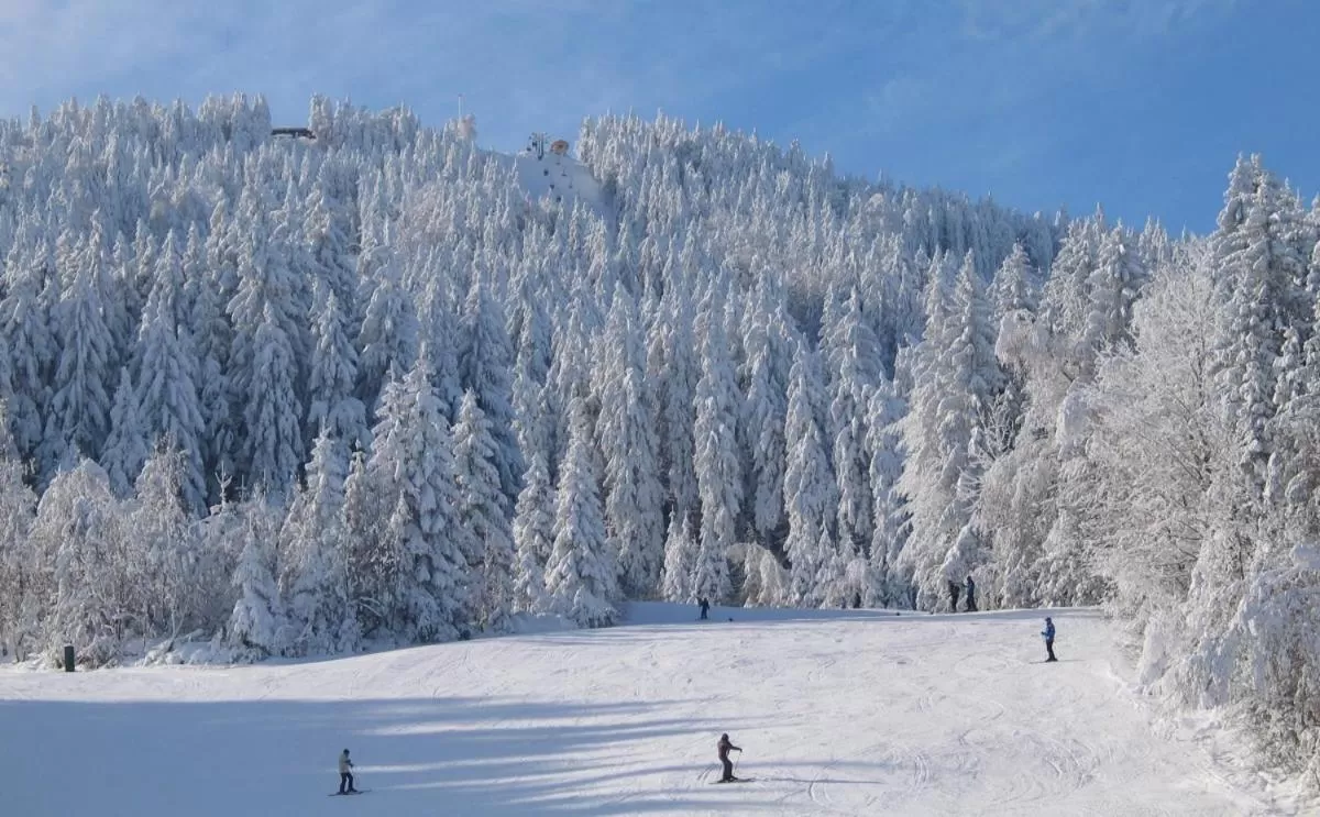 Skiing in Genusshotel Hohenbogen