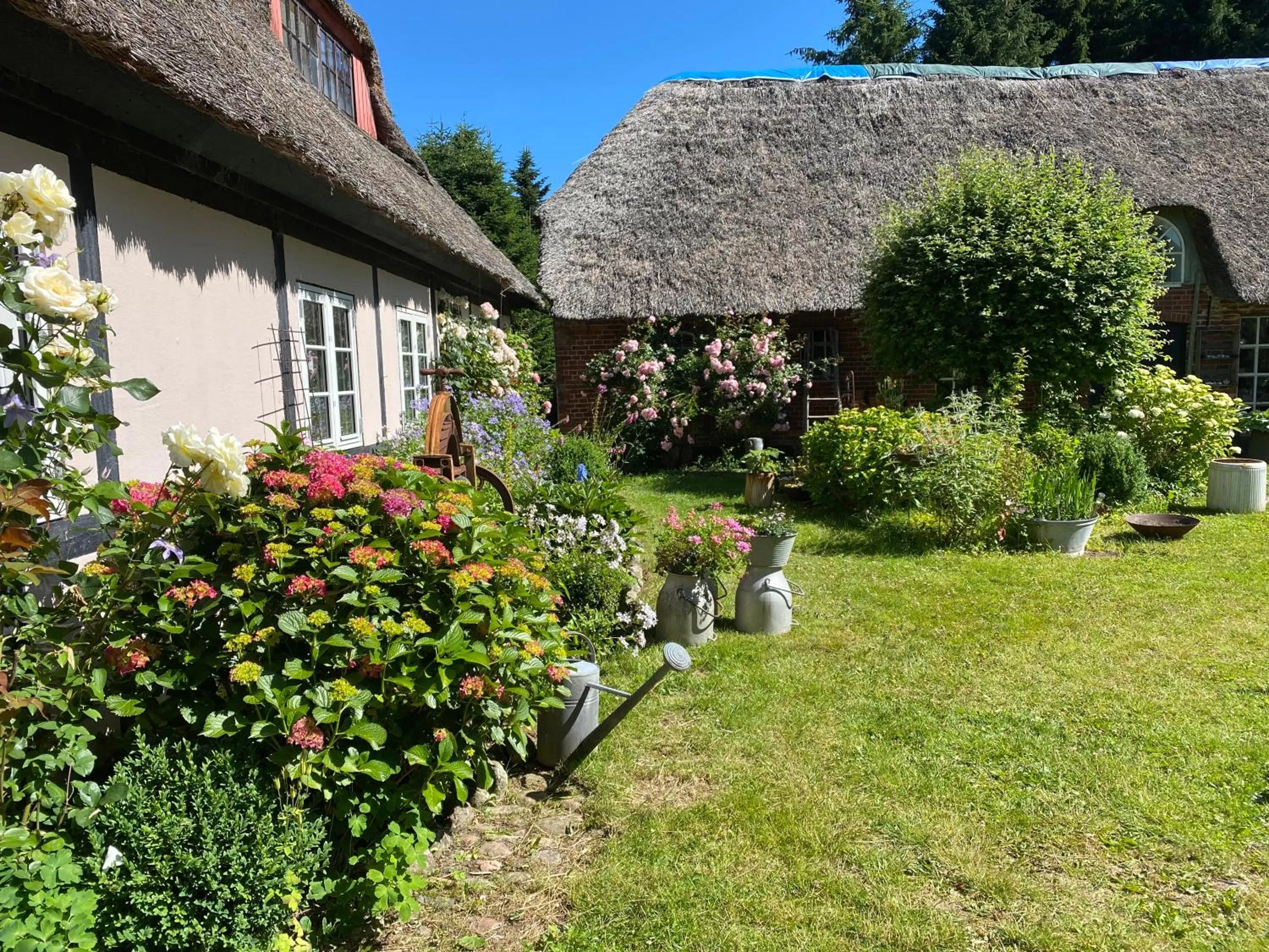 Garden, Property Building in Heddahgaarden