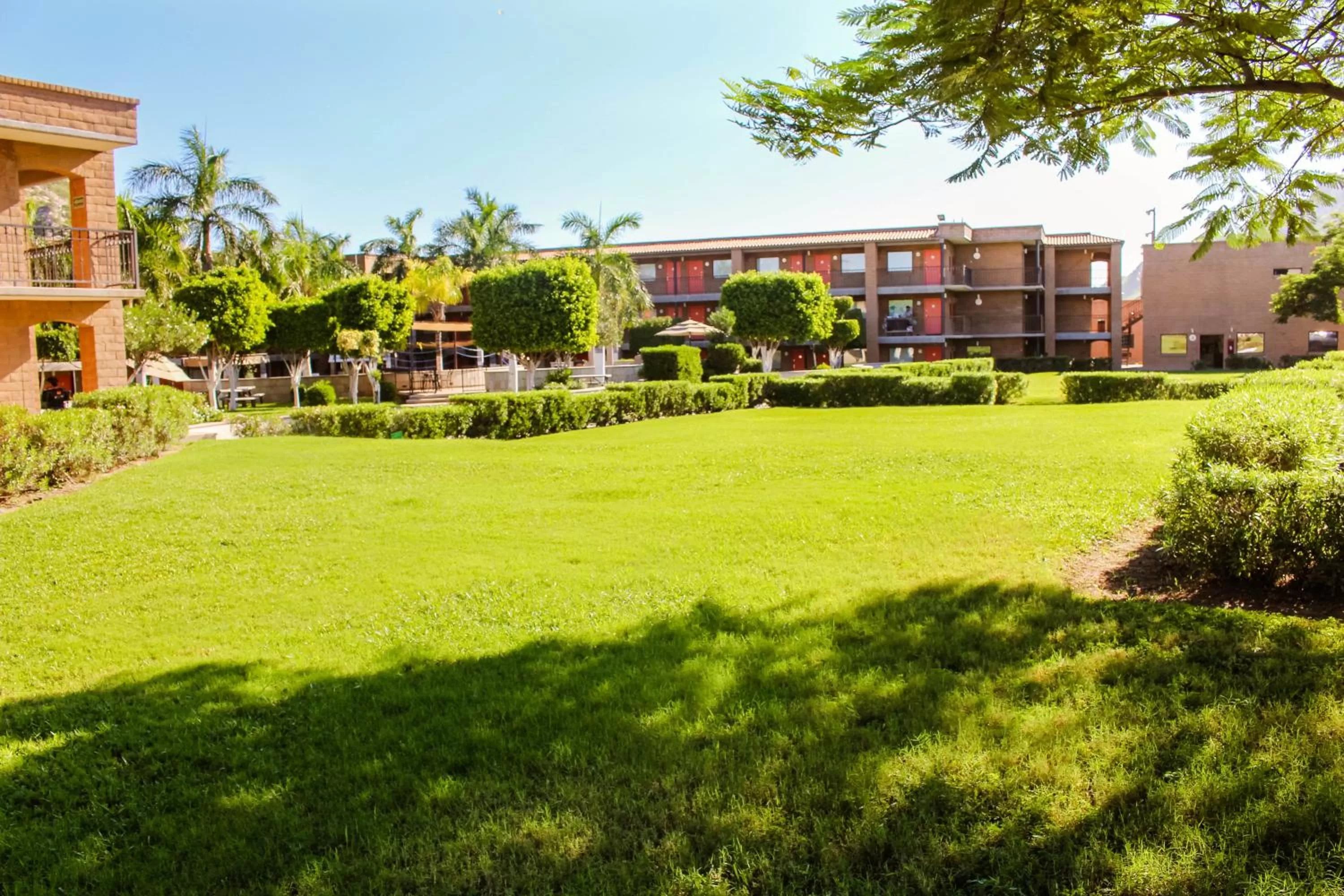 Garden in Hotel Colonial Hermosillo