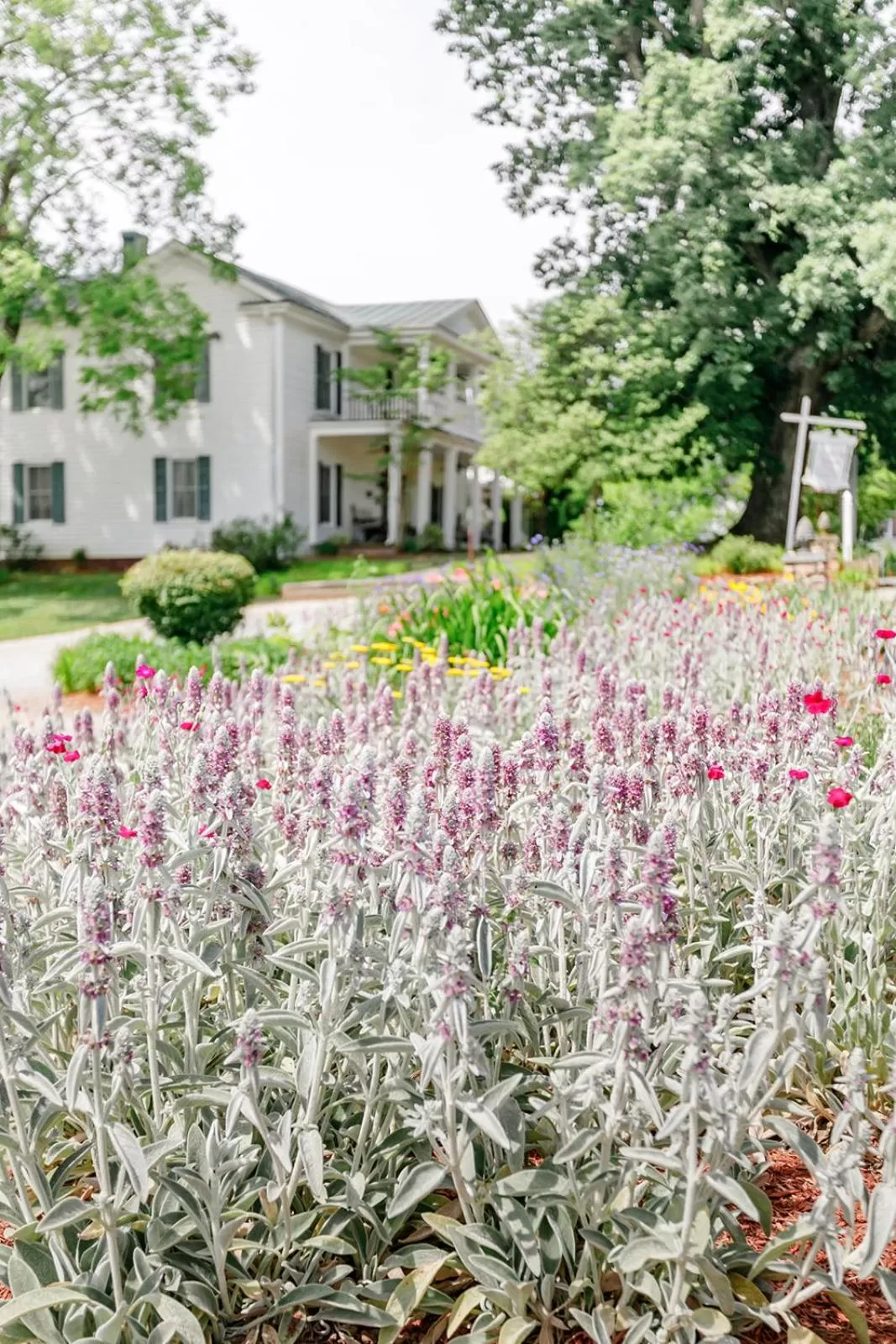 Garden view in The Babcock House