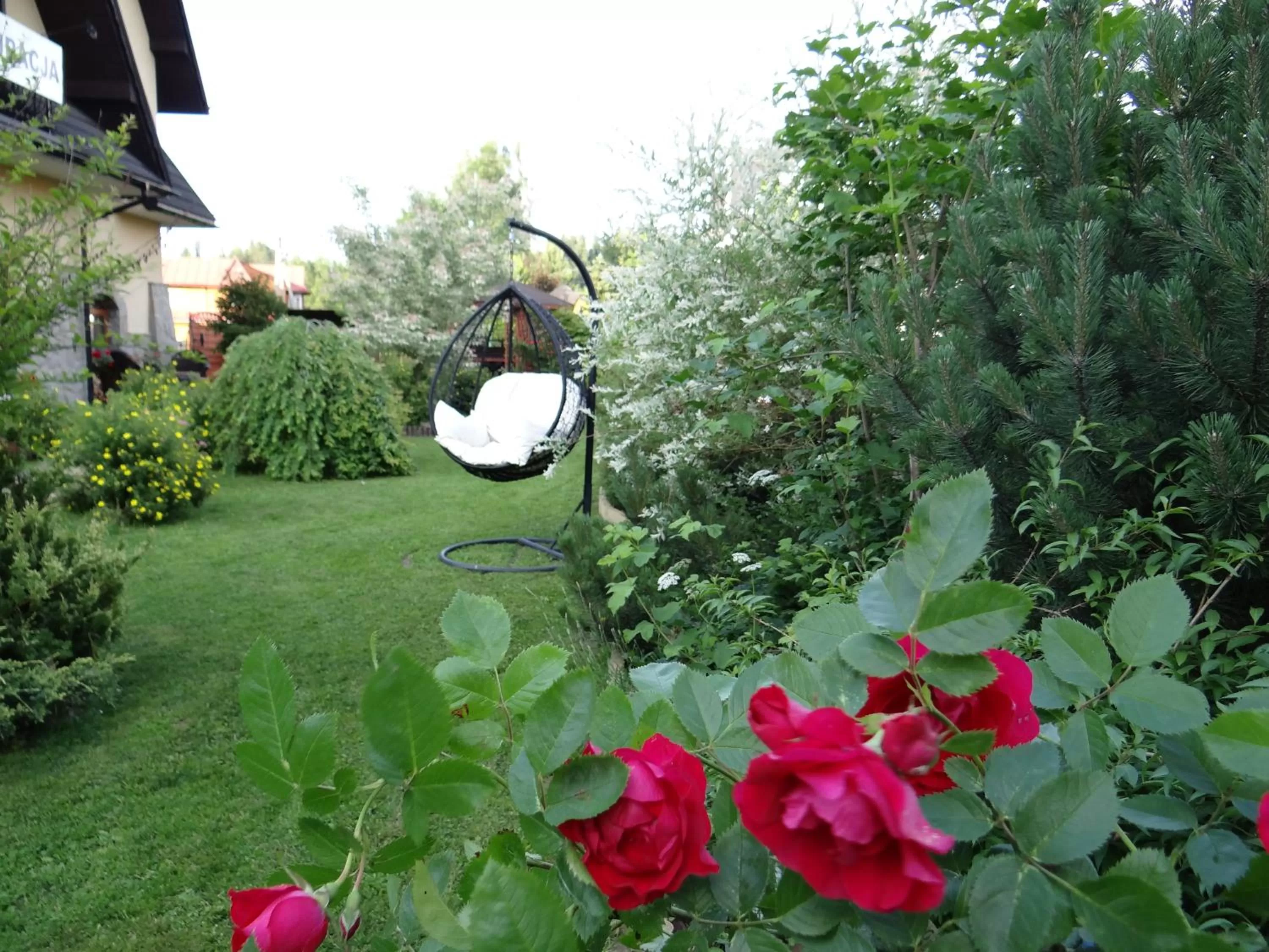 Garden in Dom Wypoczynkowy Stokrotka