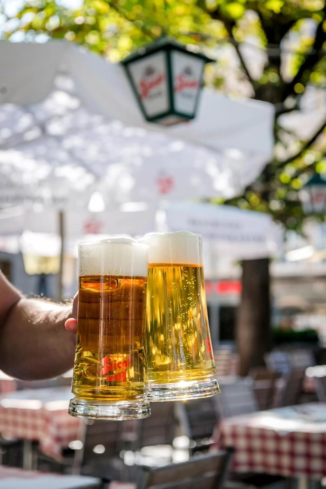 Garden in Hotel IMLAUER & Bräu