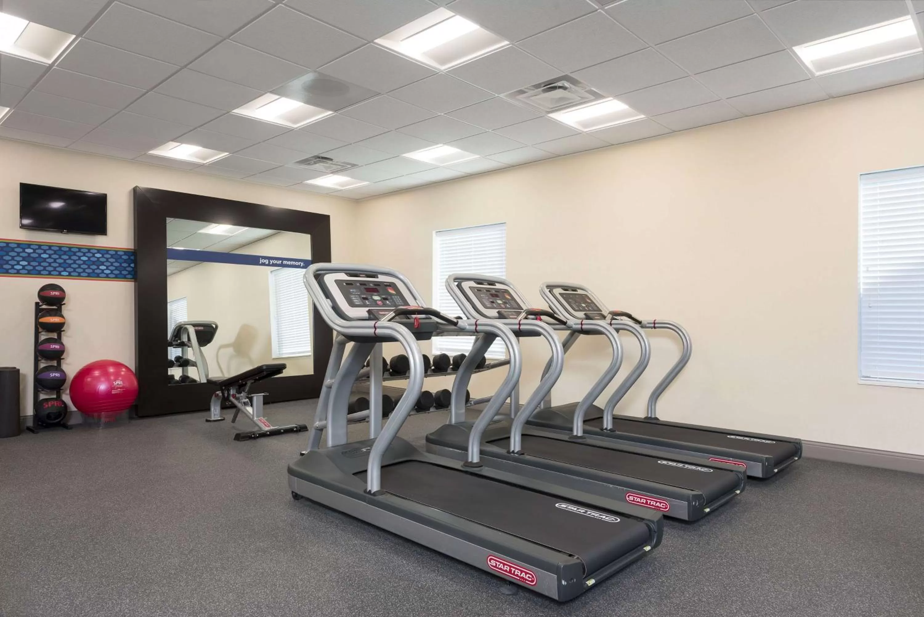 Fitness centre/facilities in Hampton Inn & Suites by Hilton Chicago Schaumburg IL