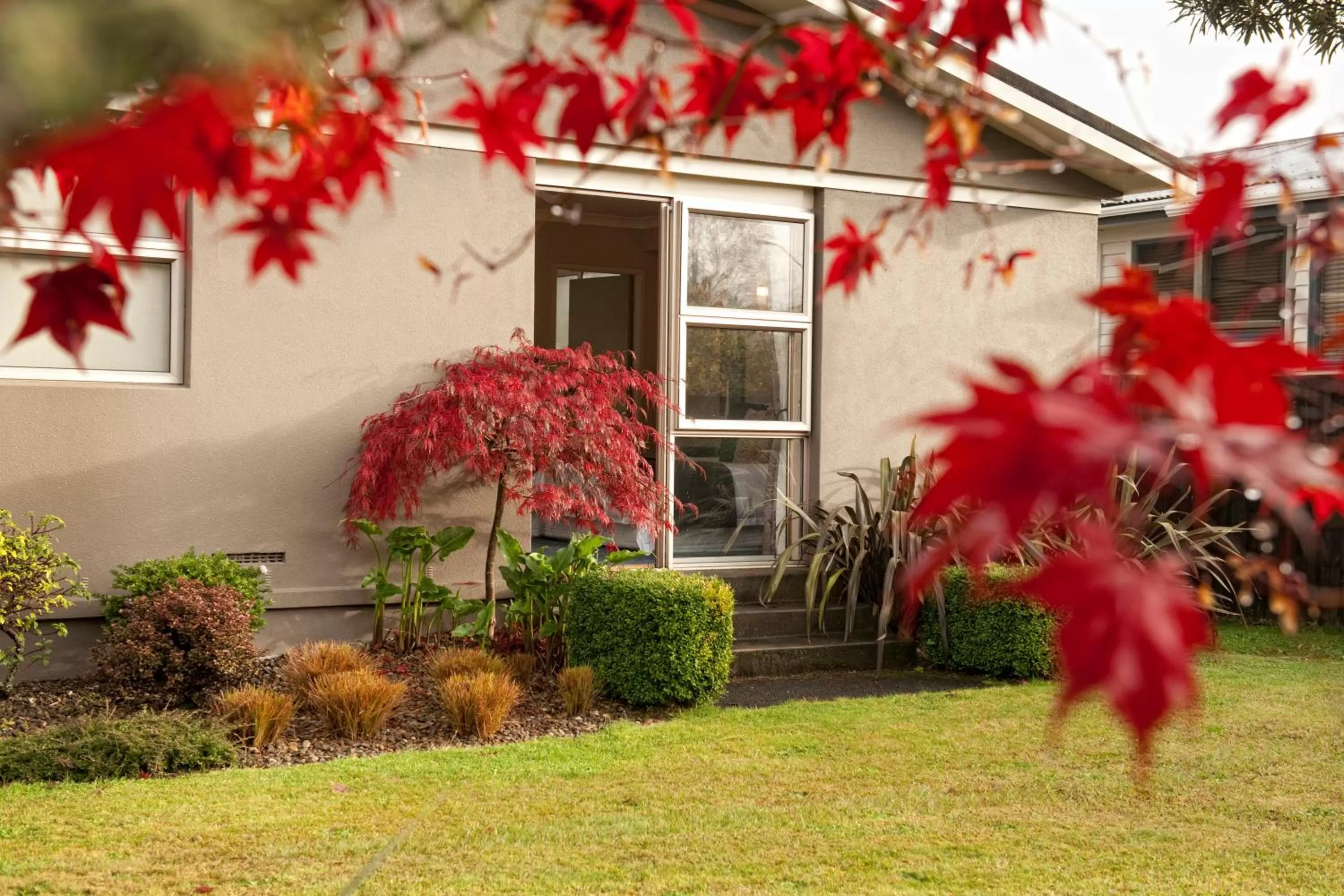 Garden in B&B@The Redwoods