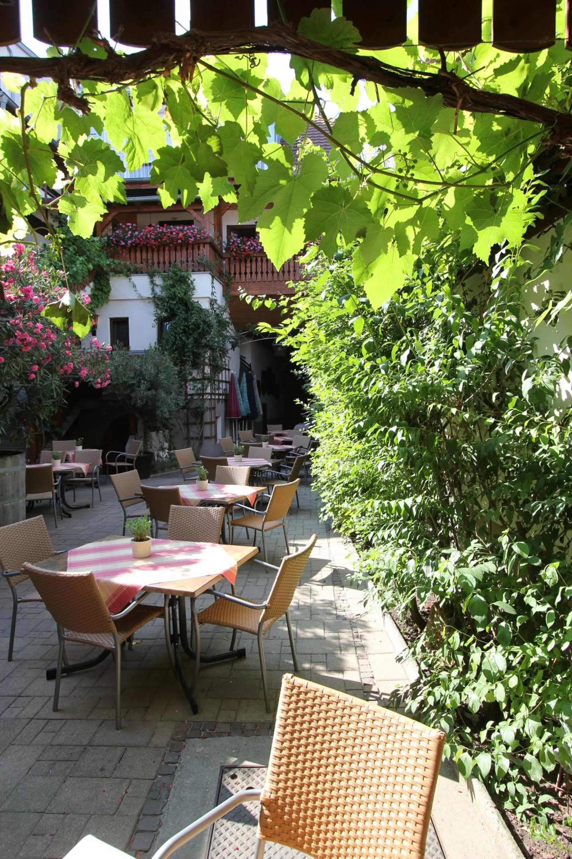 Patio in Weinhotel / Gasthaus zur Sonne