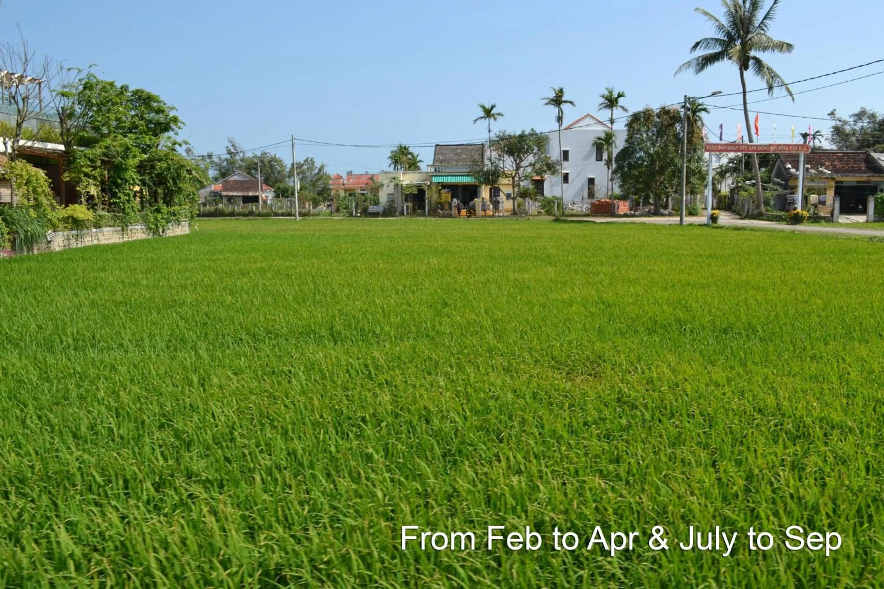 Neighbourhood in Hoi An Chic - Green Retreat