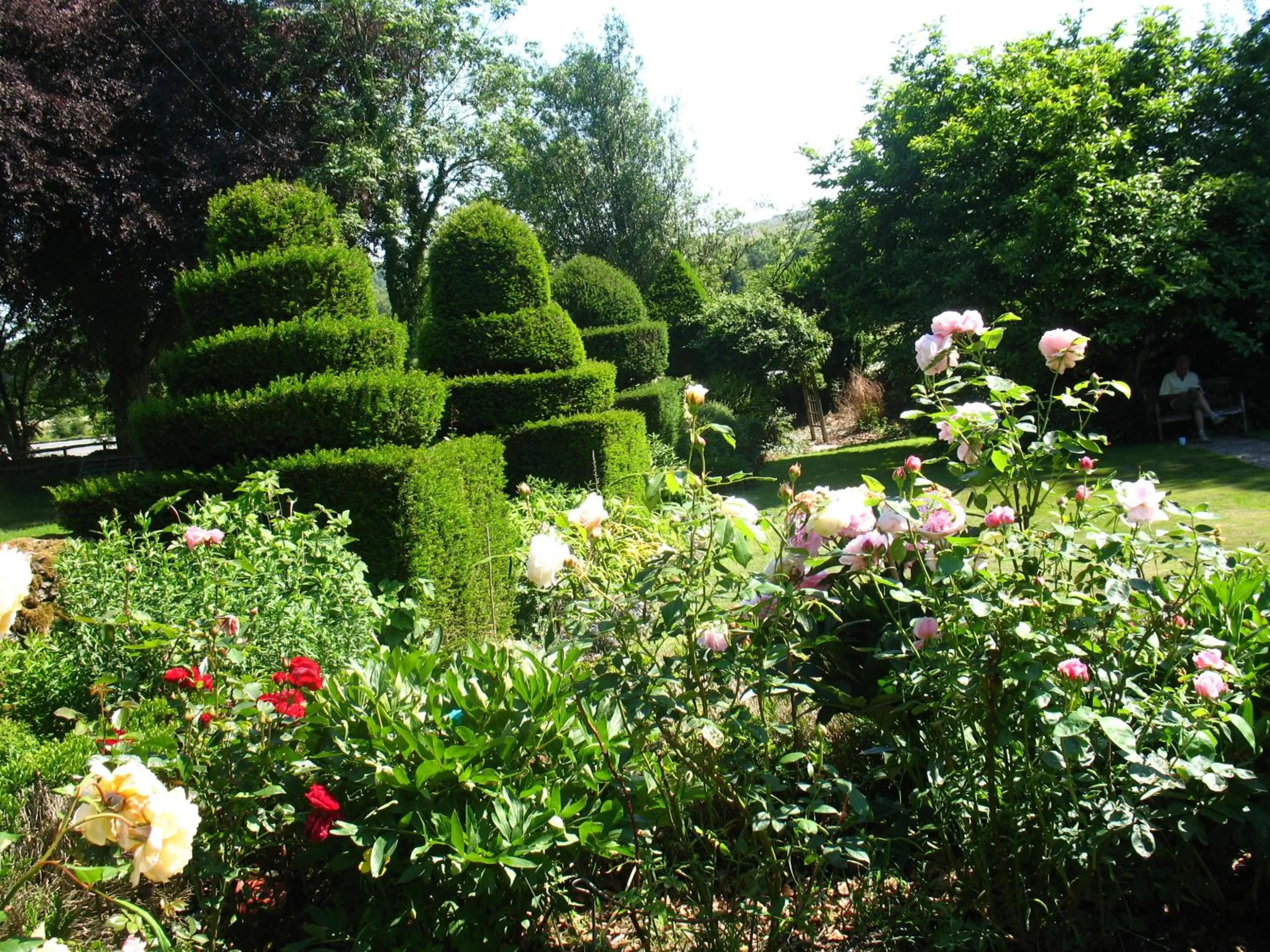 Natural landscape in The Hill