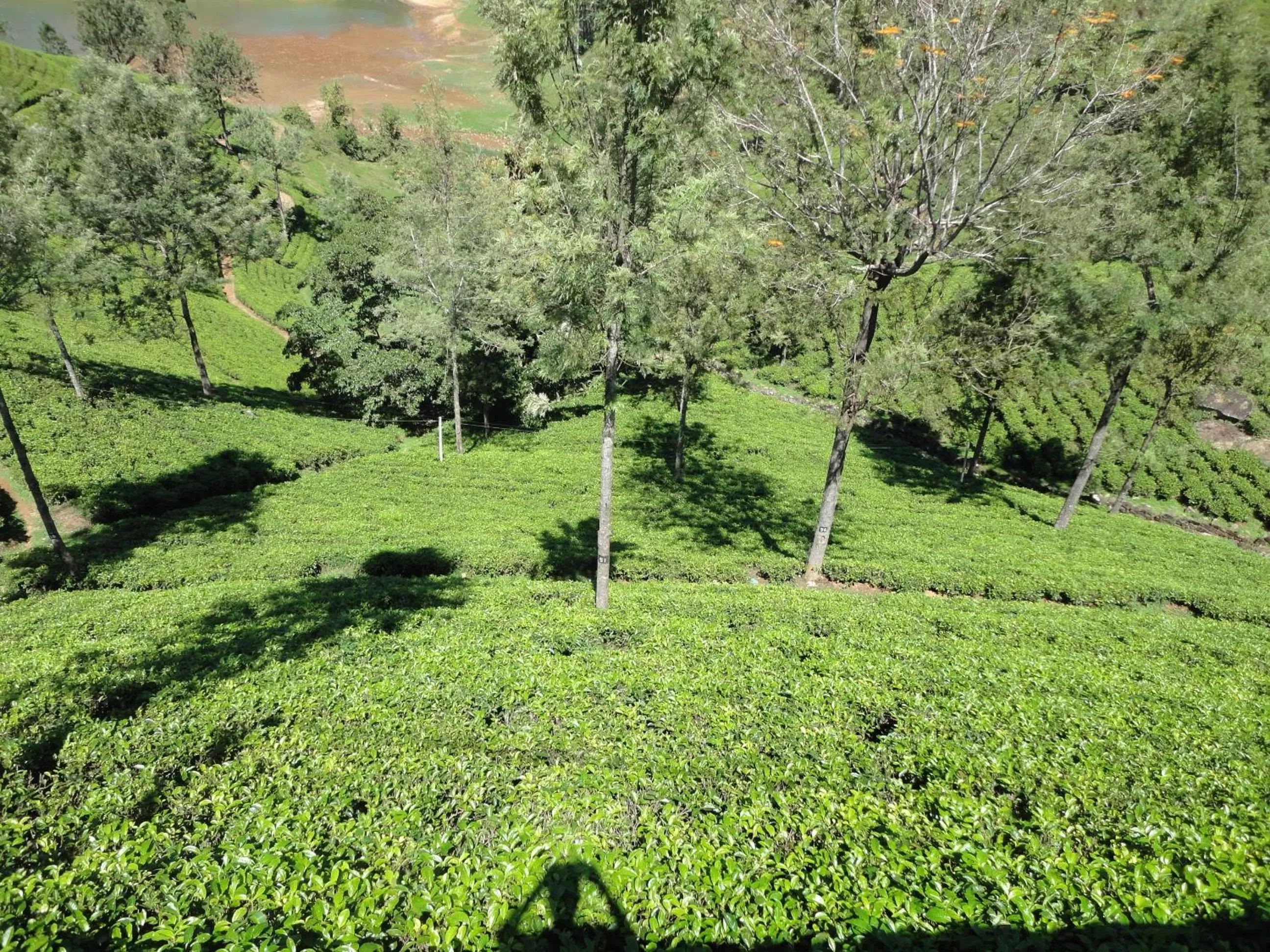 Rock View Rest Hatton