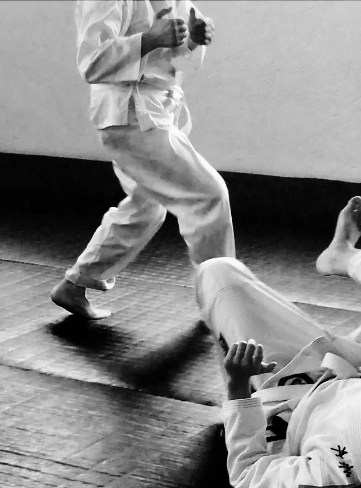 Activities in The Lily Pad Inn