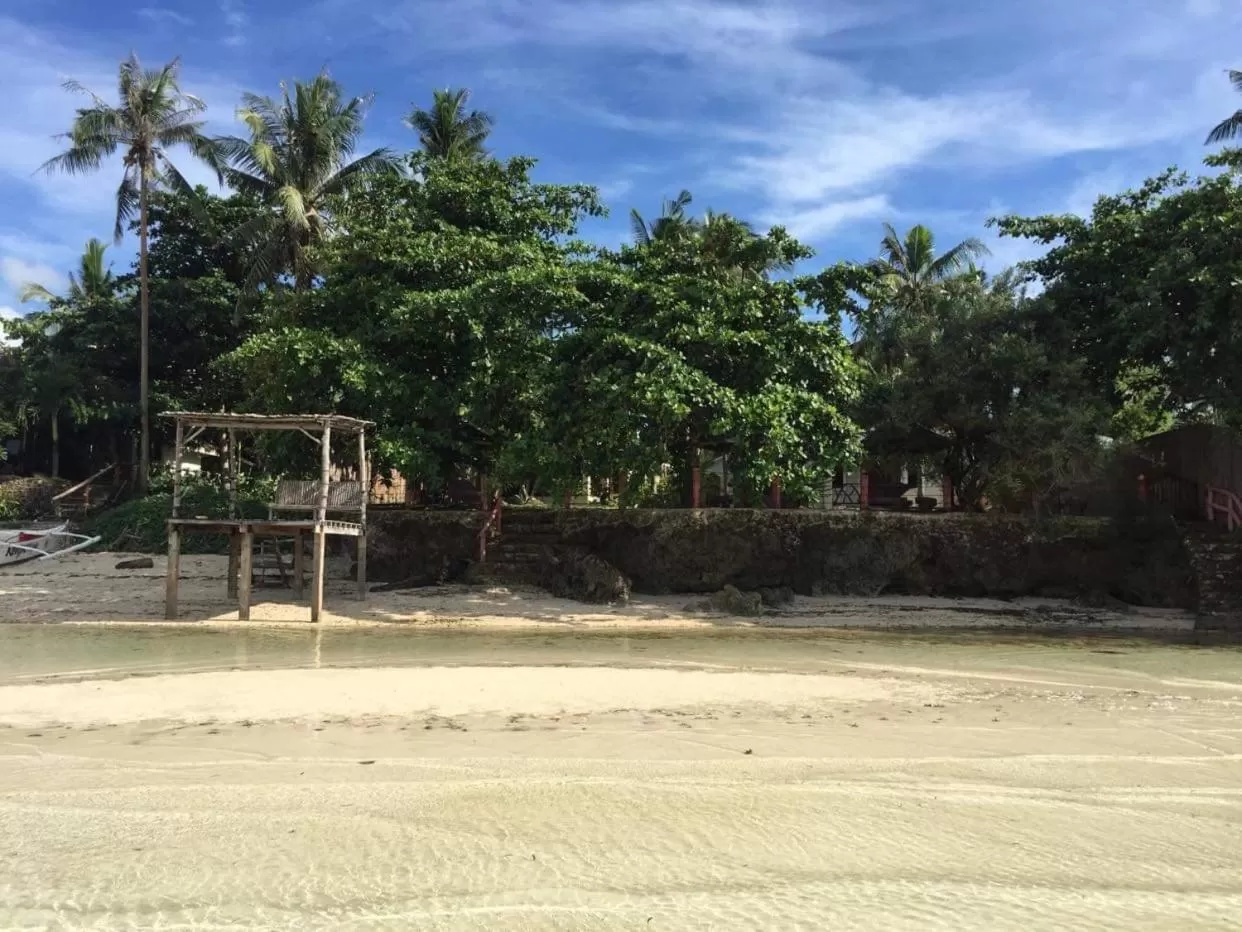 D's Oceanview Beach Resort