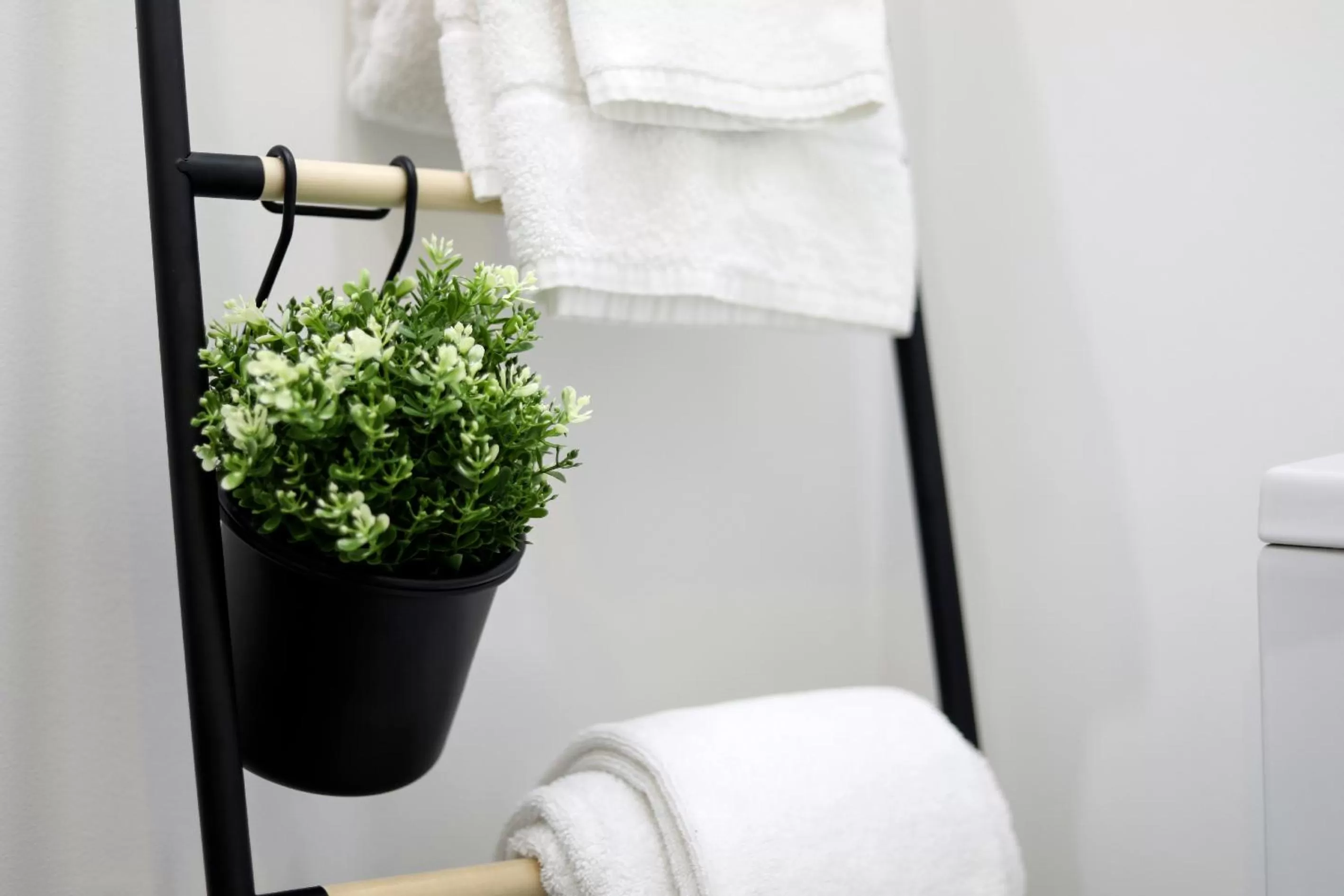 Toilet in Loios Studios and Apartments