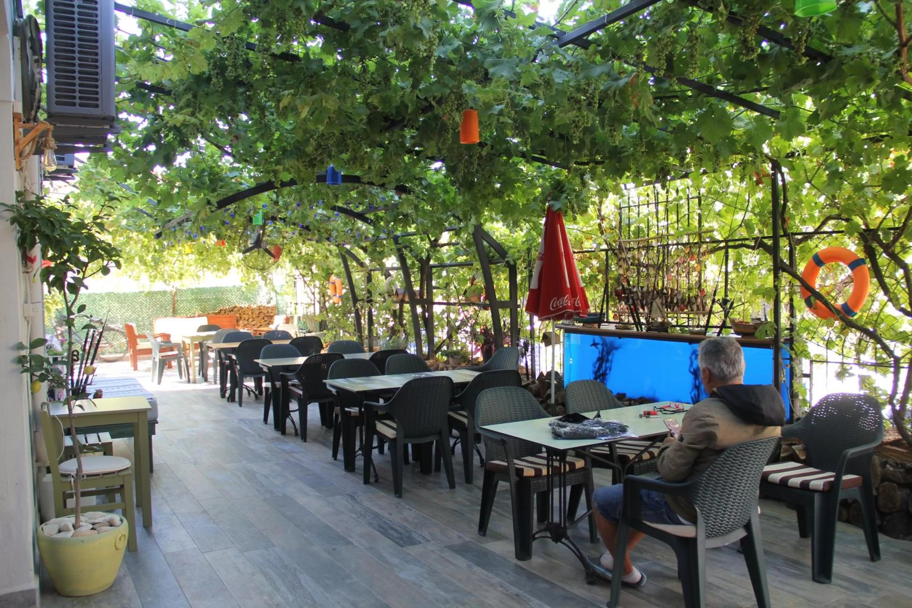 Garden view in Balim Sultany