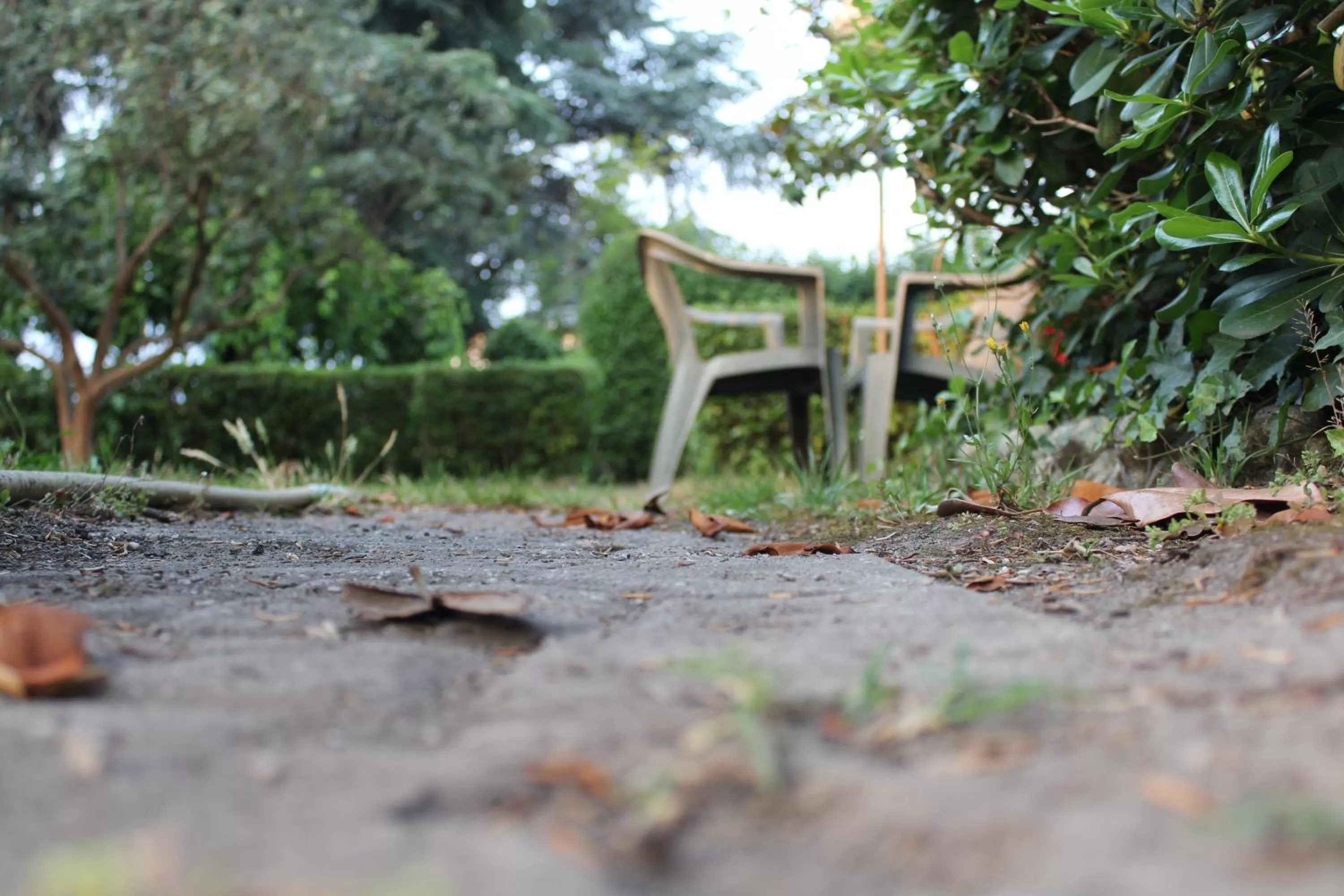 On site in Hotel Diana