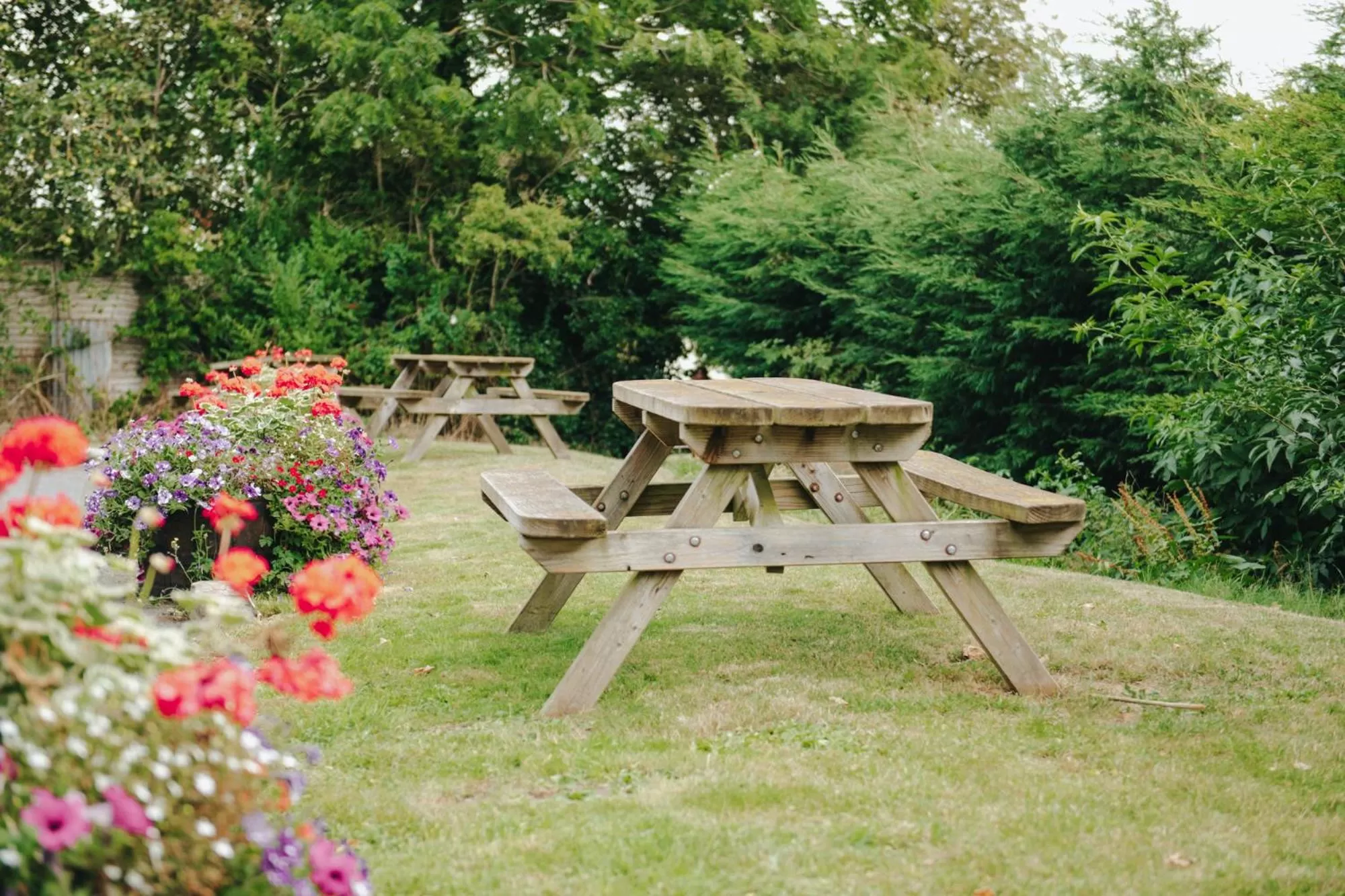 Garden in The Wellington Heifer