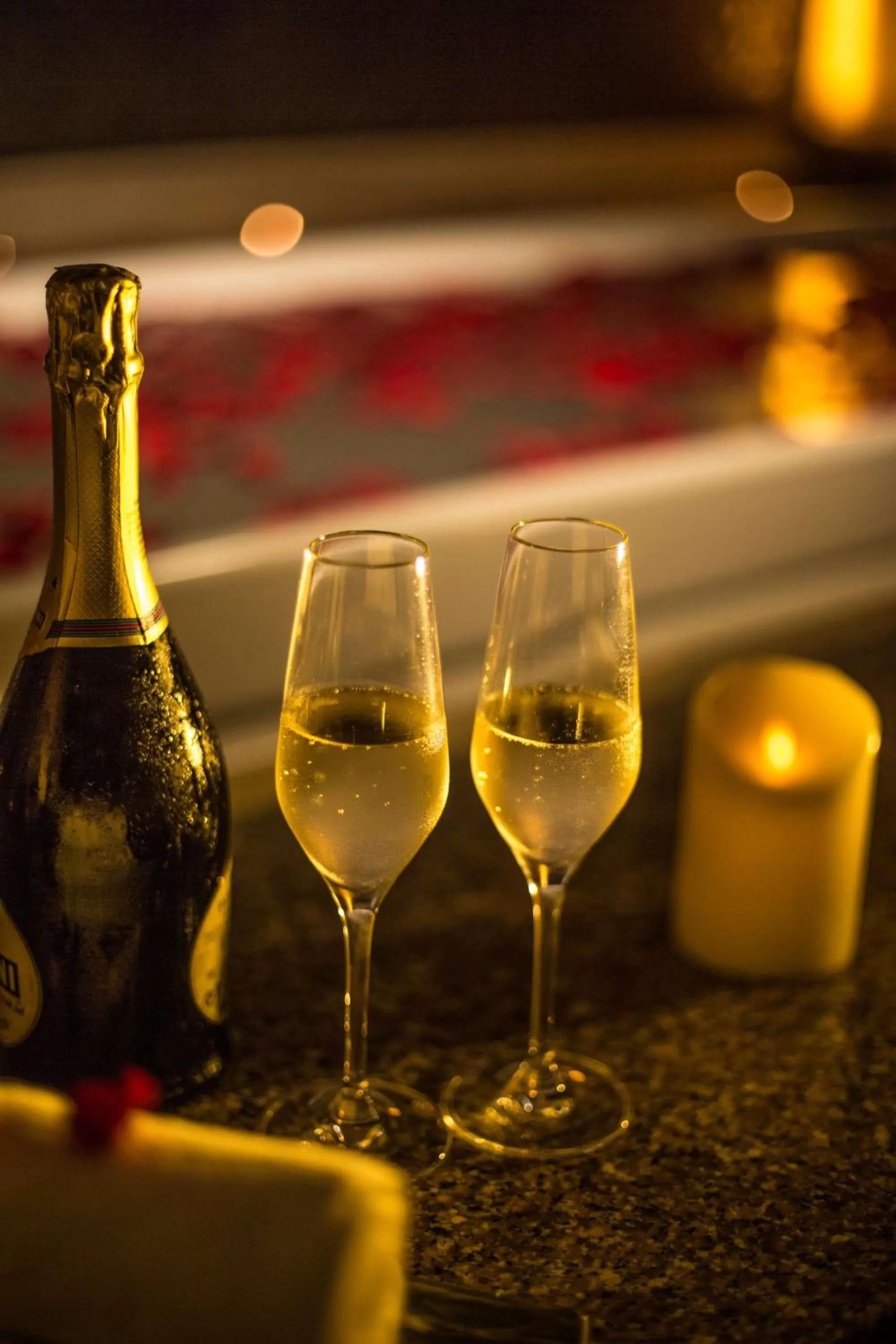 Other in Radisson Blu Plaza Delhi Airport