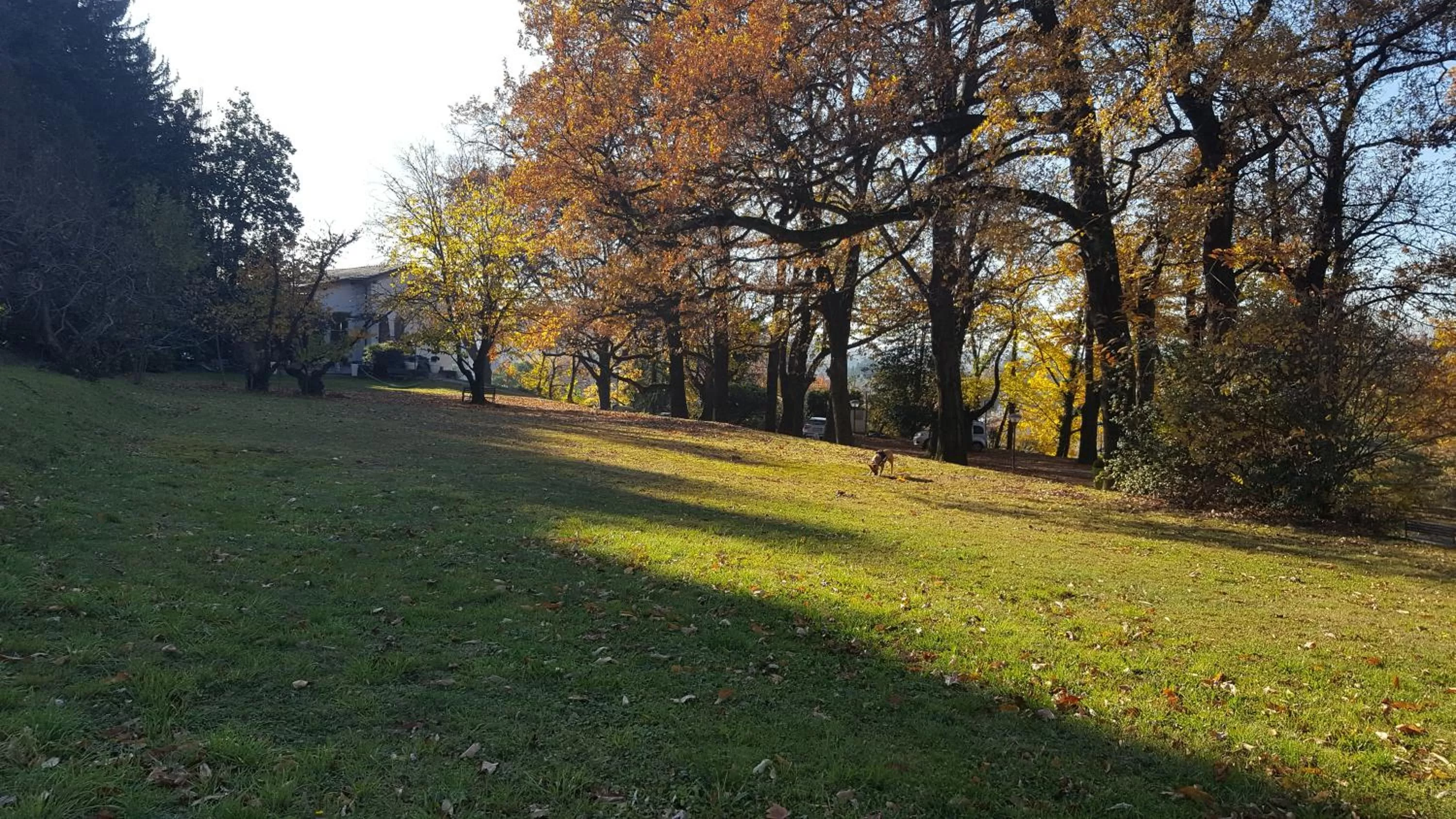 Day, Garden in "La Selvetta" bed and breakfast