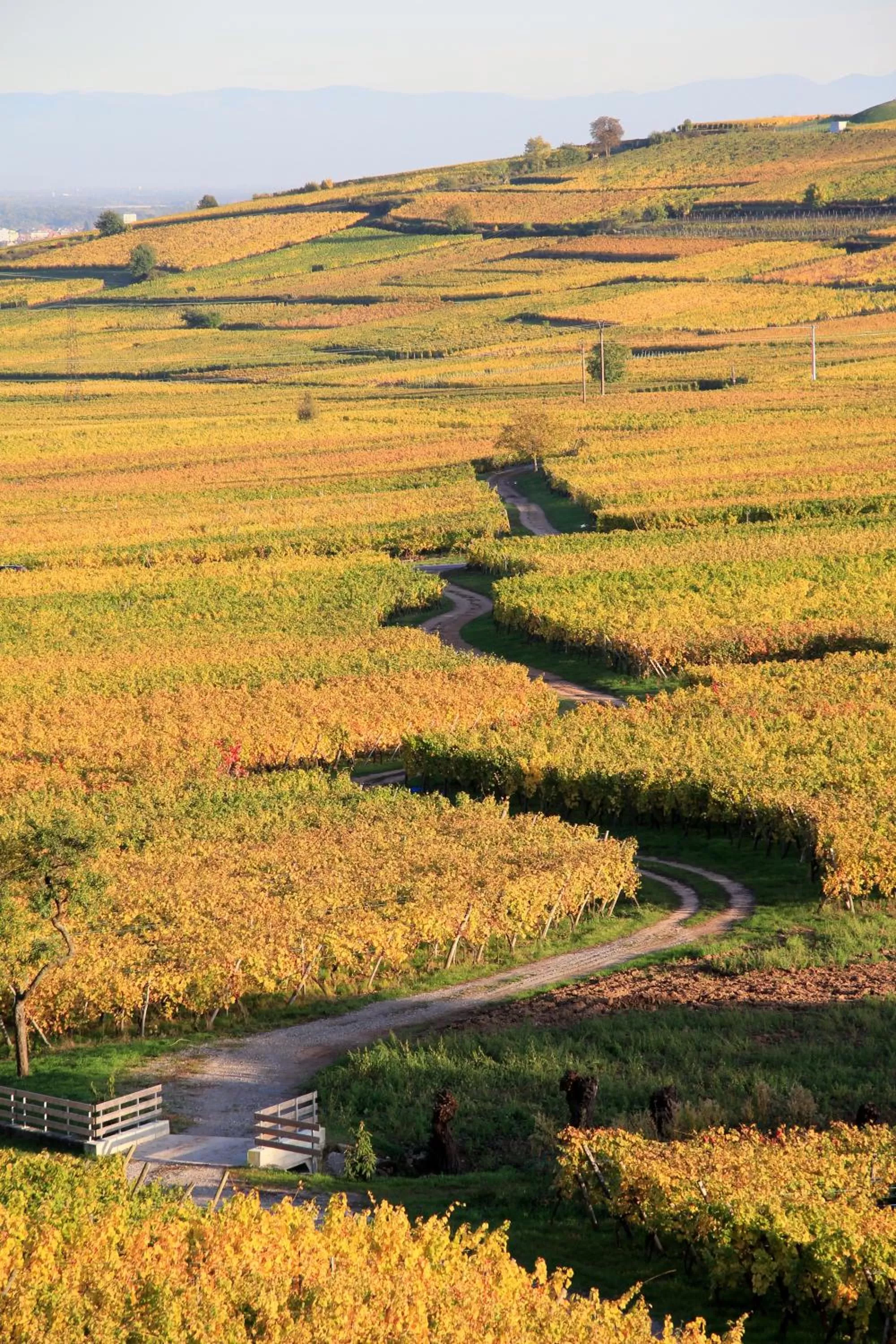 Activities, Natural Landscape in Résidence des Châteaux