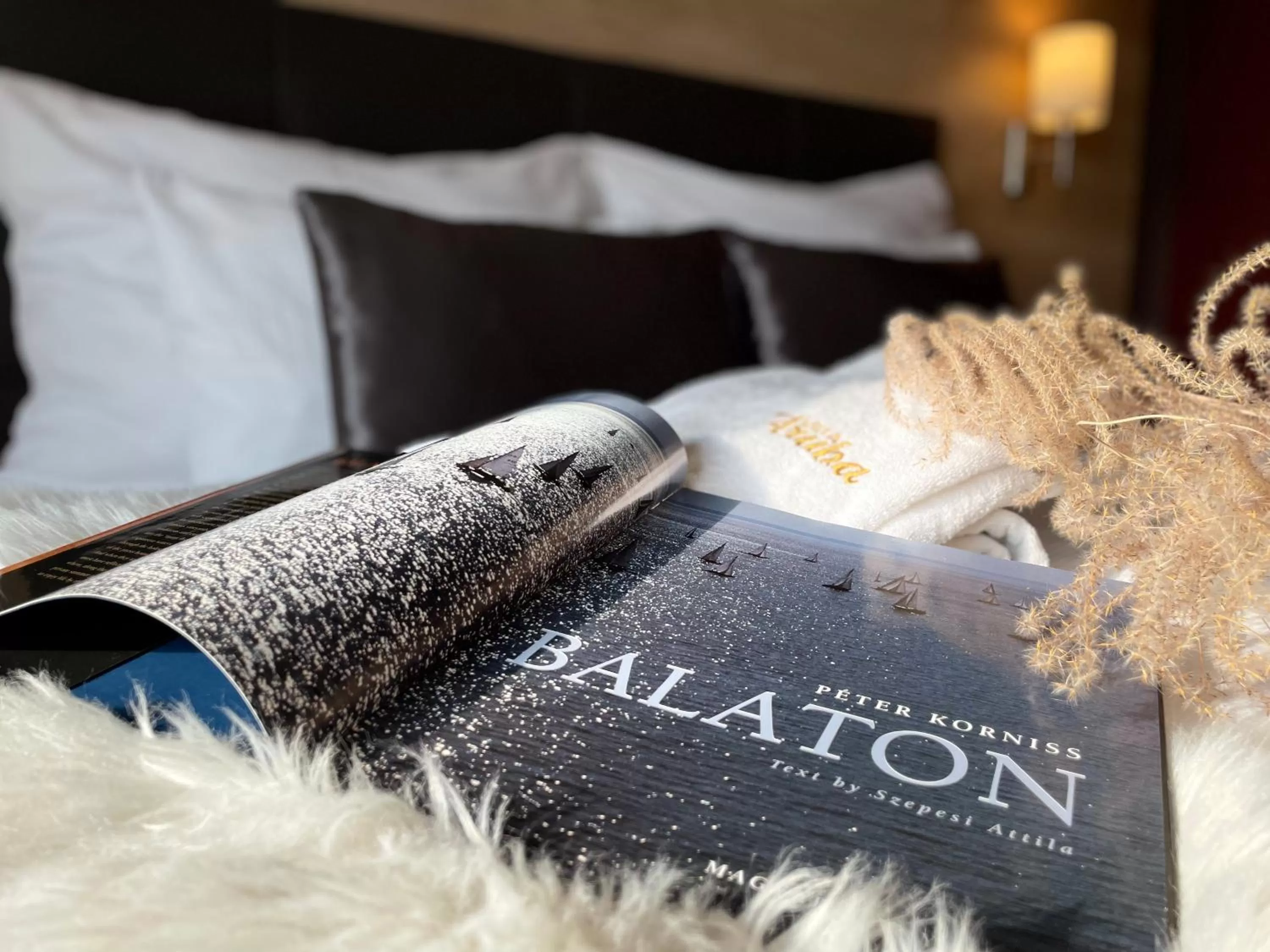 Bed in Villa Aruba & Private SPA Suites