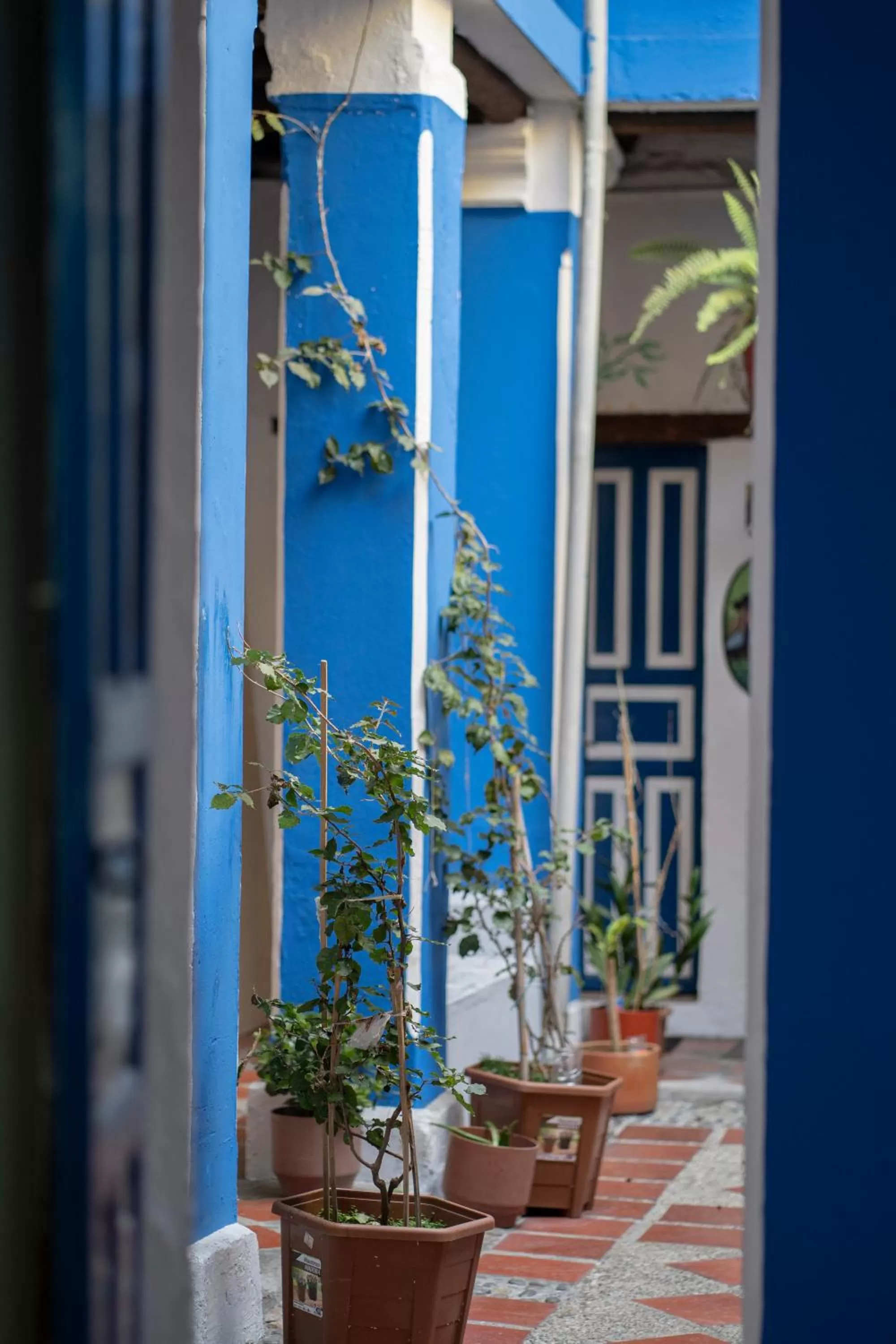 Patio in Blue Door Housing Historic Quito