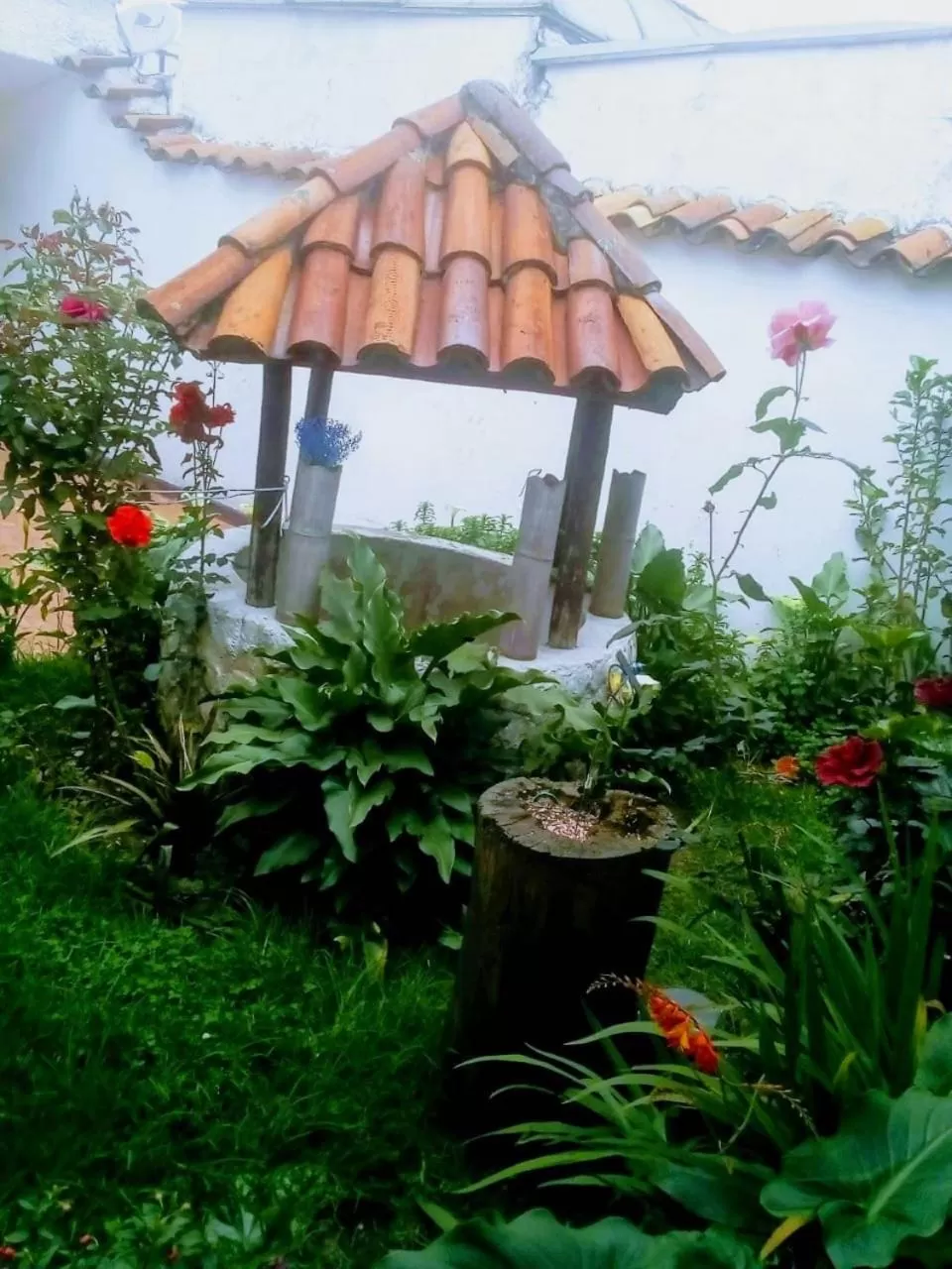 Garden in Villa Suite Emanuel