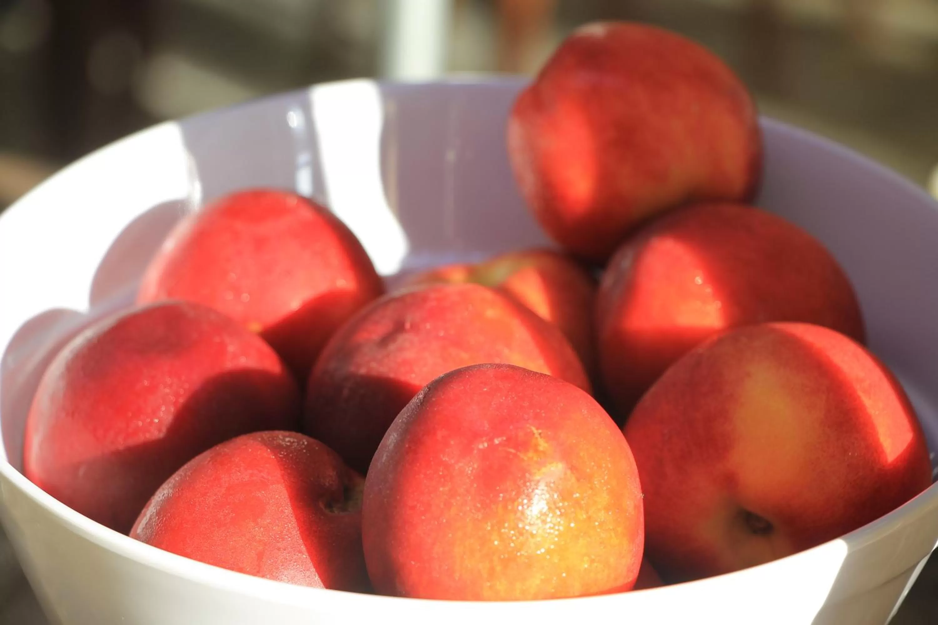 Food in Grand Hotel Pomorie - Medical spa