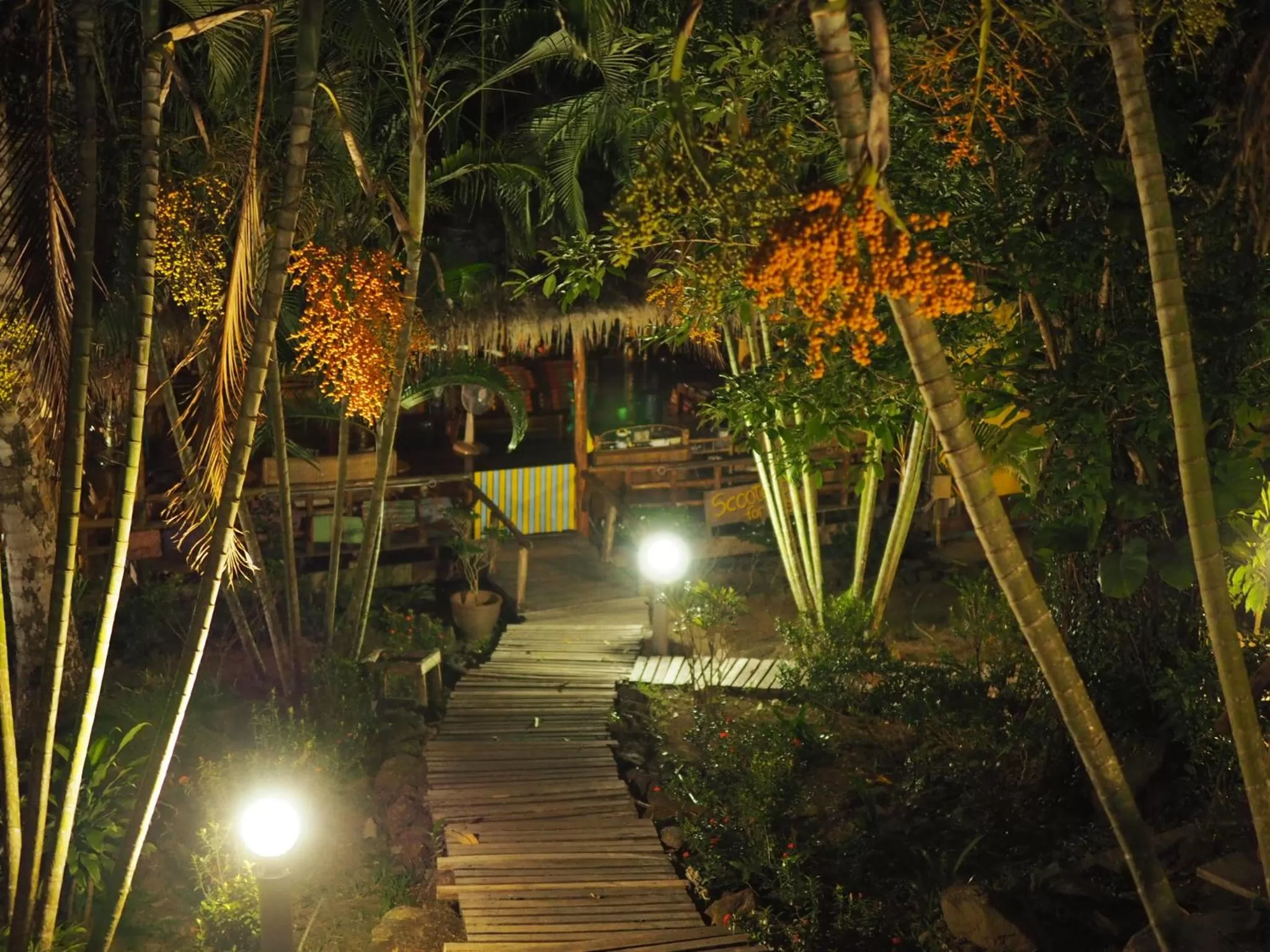 Garden view in LITTLE EDEN Bungalows