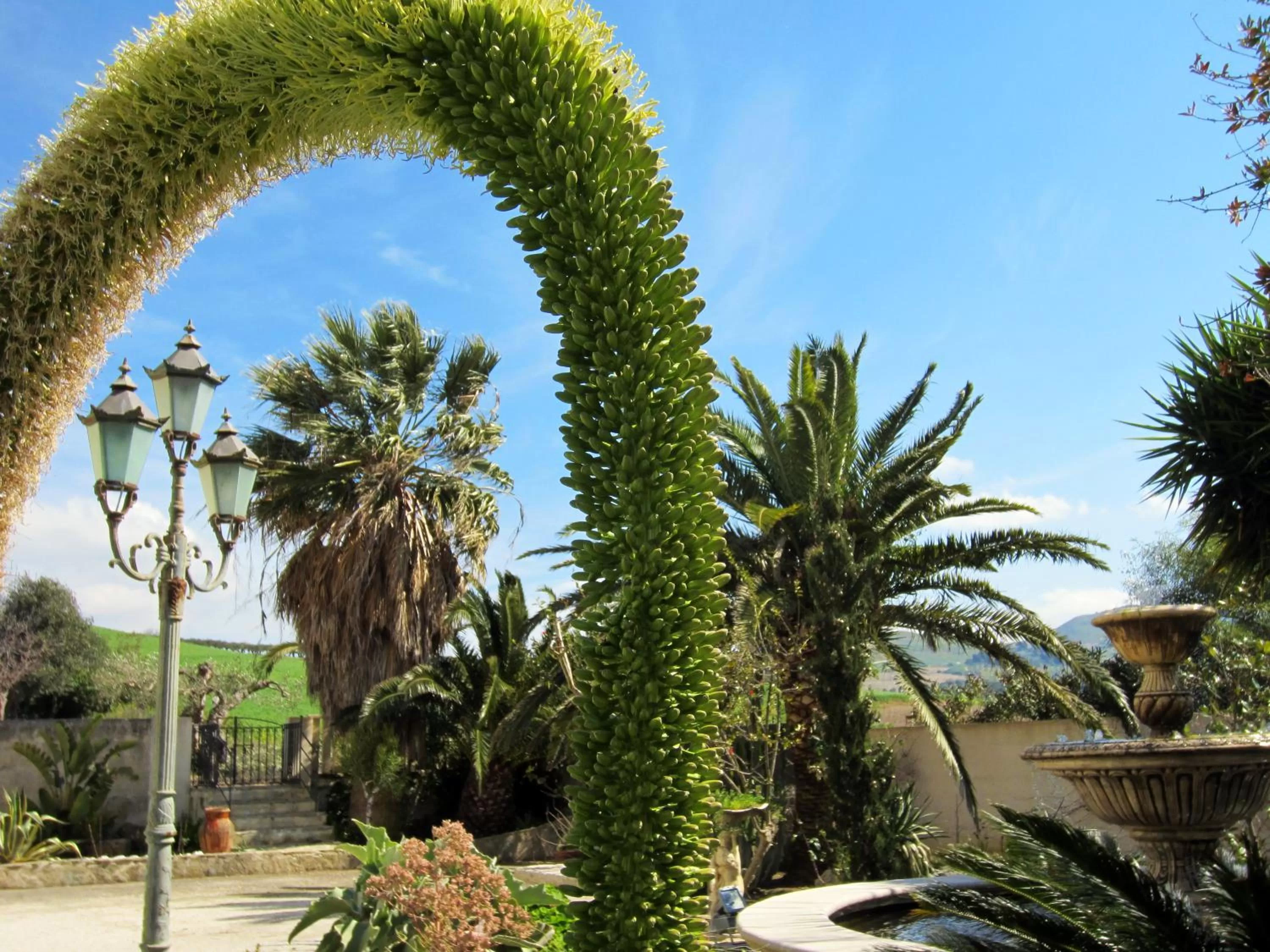 Facade/entrance in Candalù - Villa Giardinata